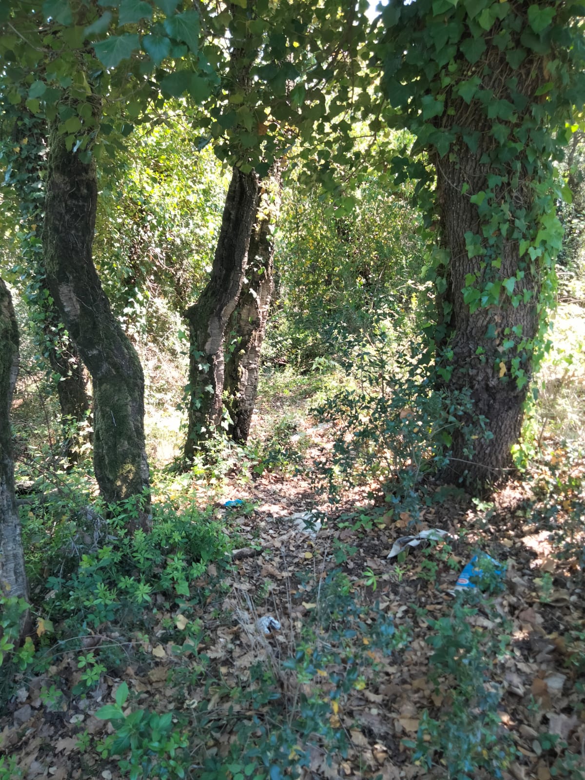Sosta nella natura in provincia di Latina