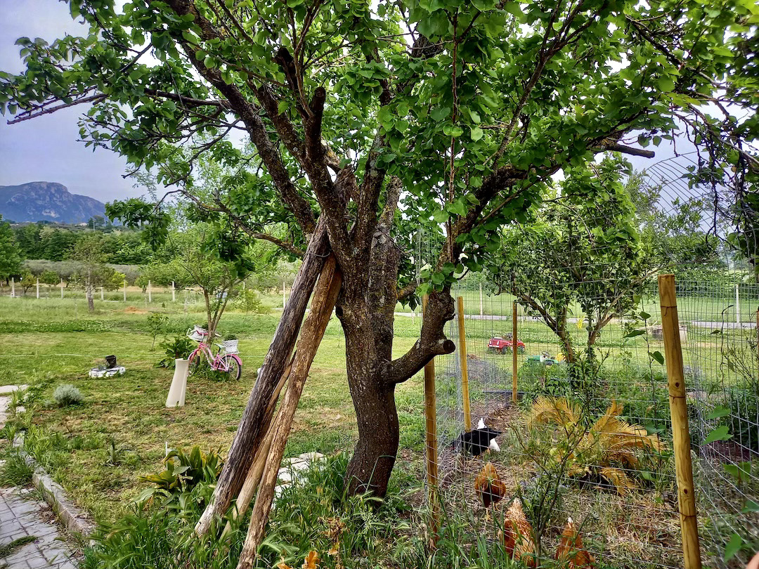 Roulotte attrezzata alle pendici del Taburno, Campania