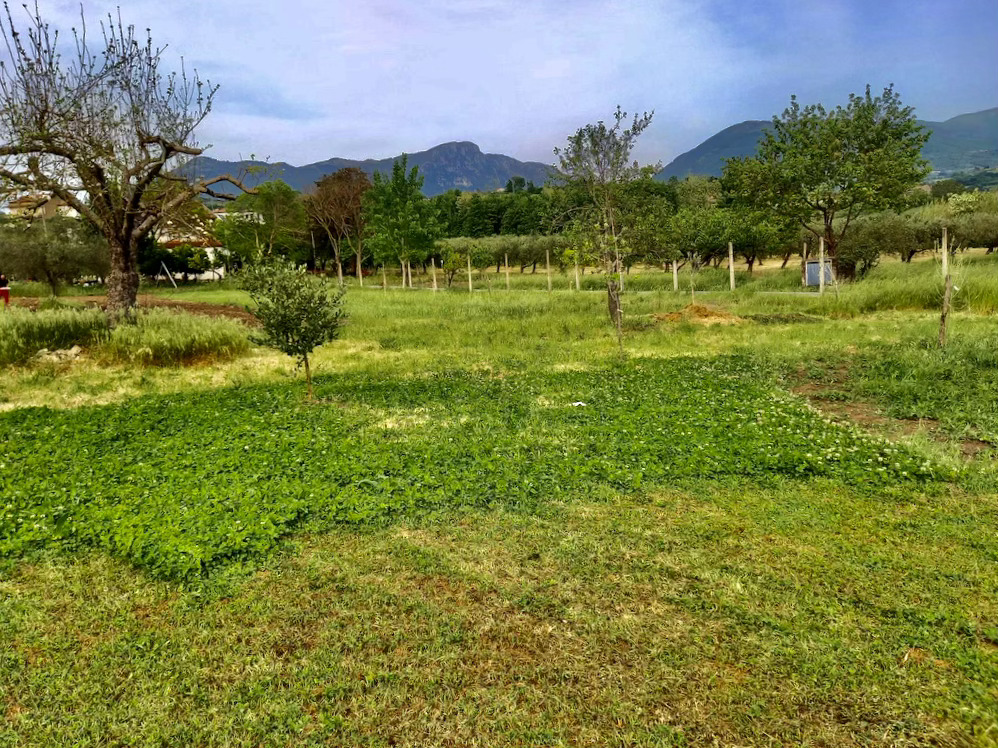 Roulotte attrezzata alle pendici del Taburno, Campania