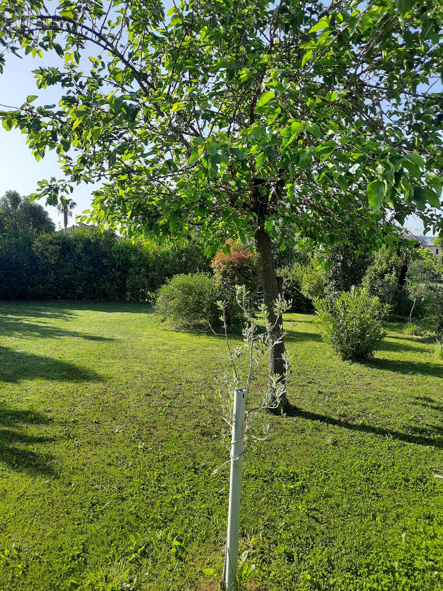 Giardino privato nelle campagne di Frosinone