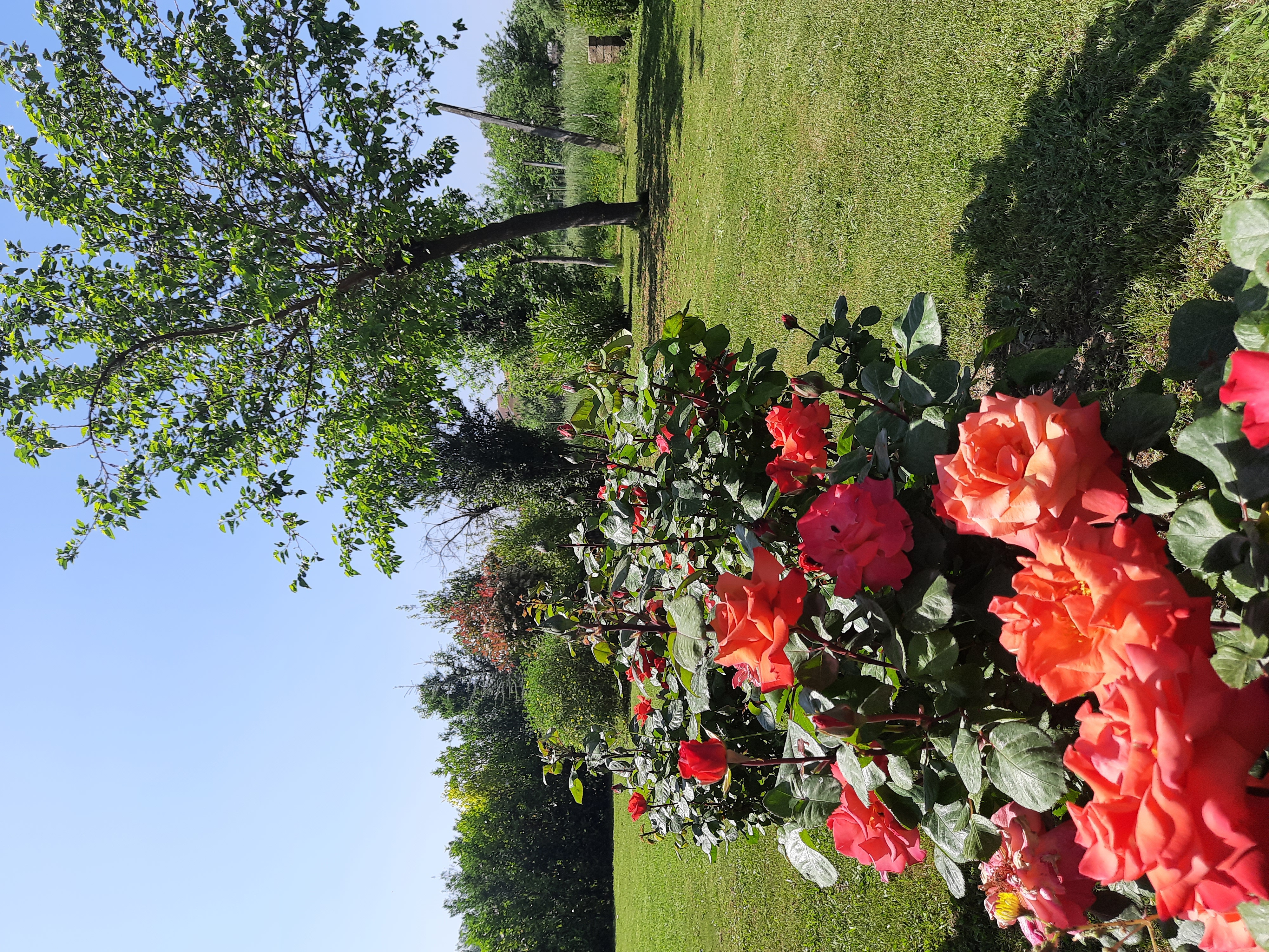 Giardino privato nelle campagne di Frosinone