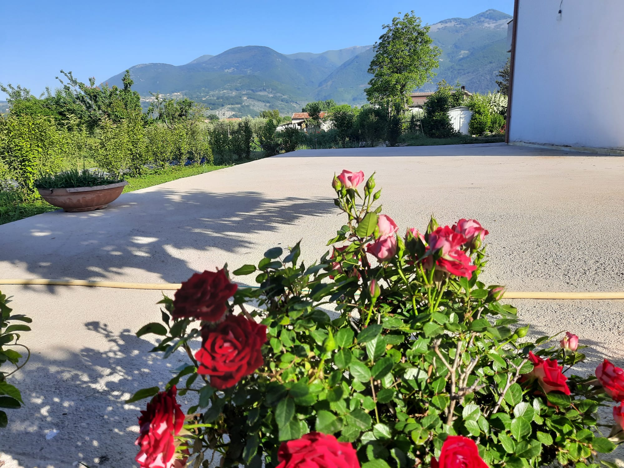 Giardino privato nelle campagne di Frosinone