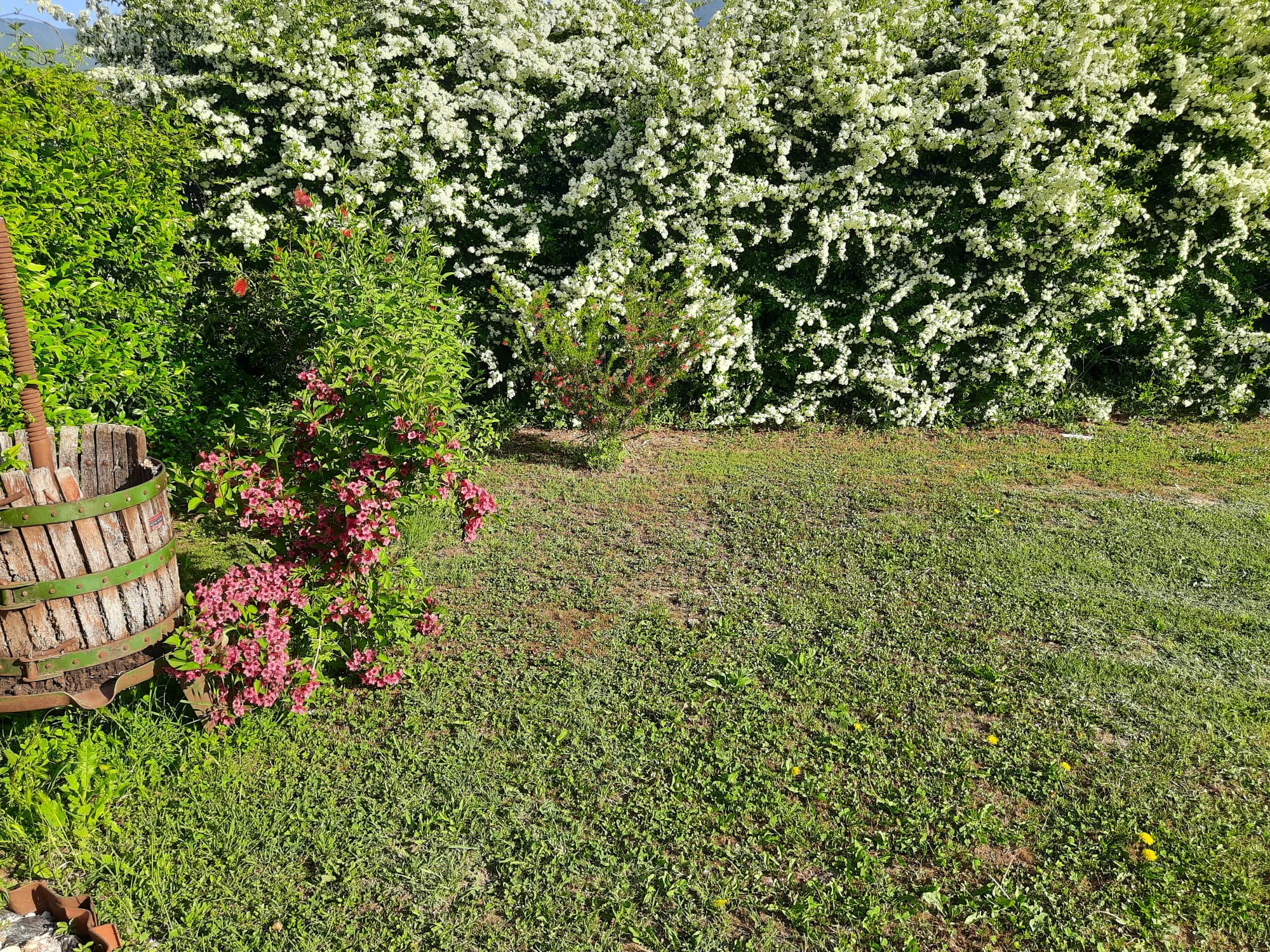 Giardino privato nelle campagne di Frosinone