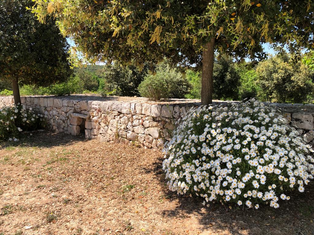 Camping in the green hills of Bari