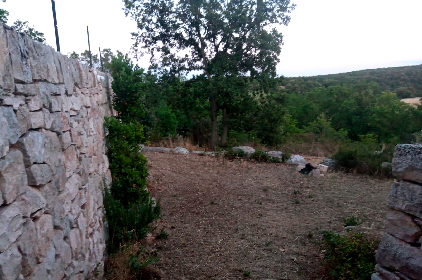 Camping in the green hills of Bari