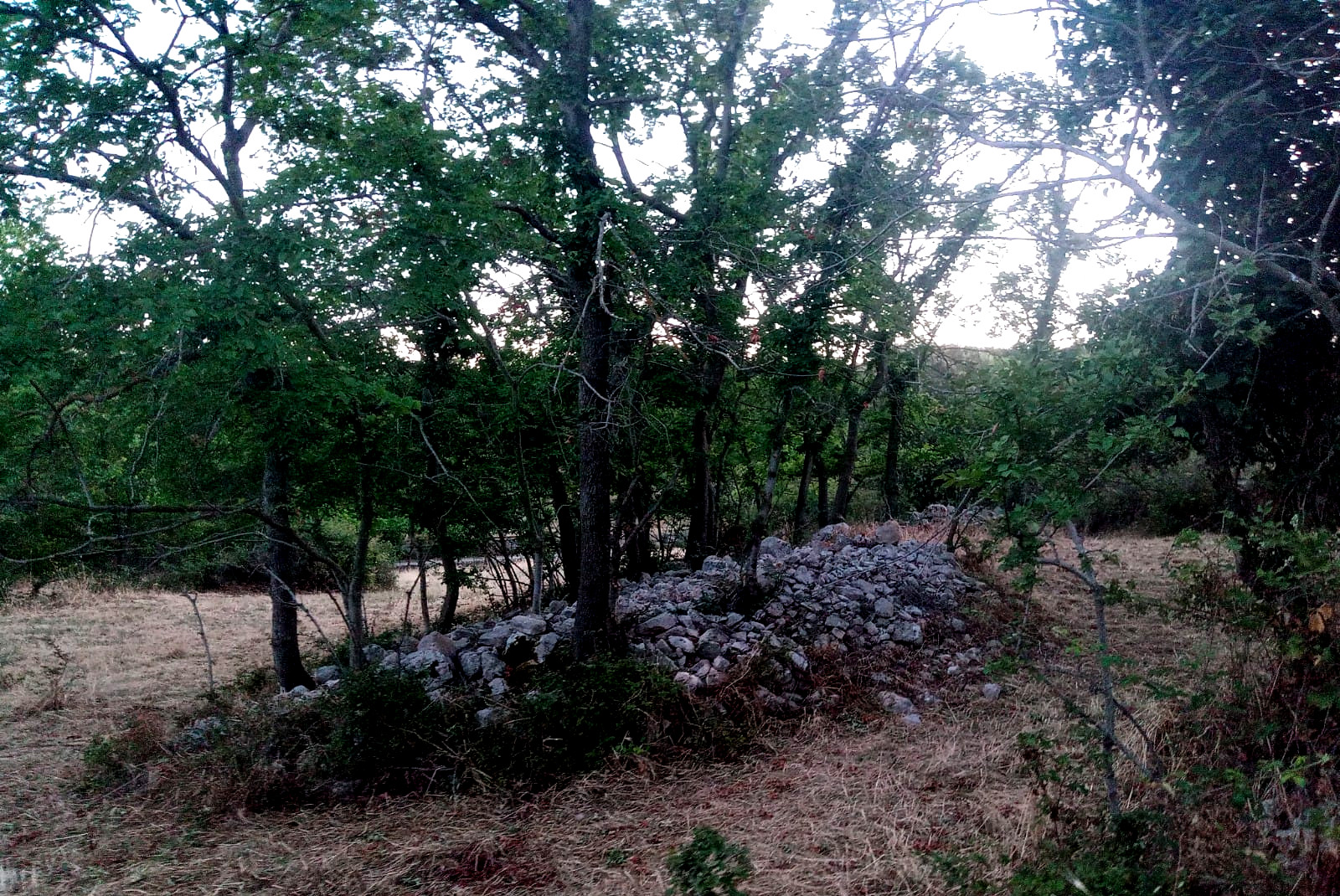 Camping in the green hills of Bari