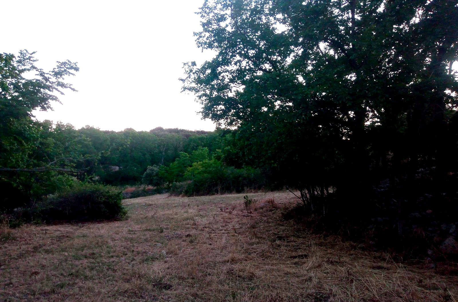 Camping in the green hills of Bari