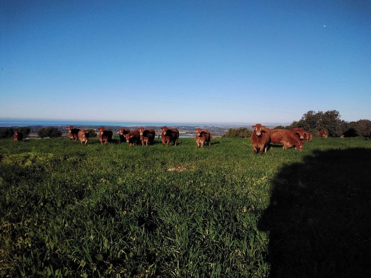 Ecovillaggio a Ragusa