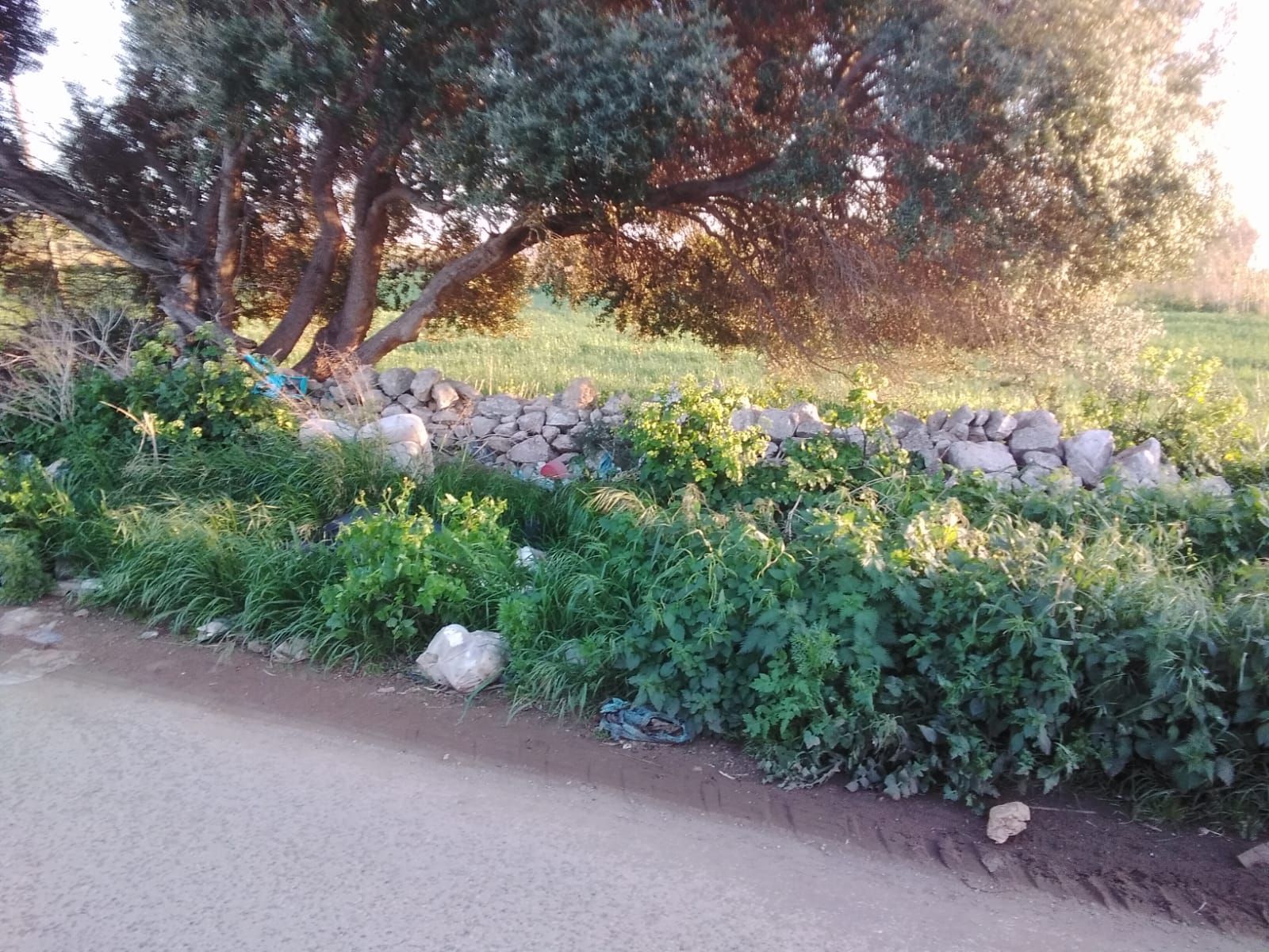 Ecovillaggio a Ragusa