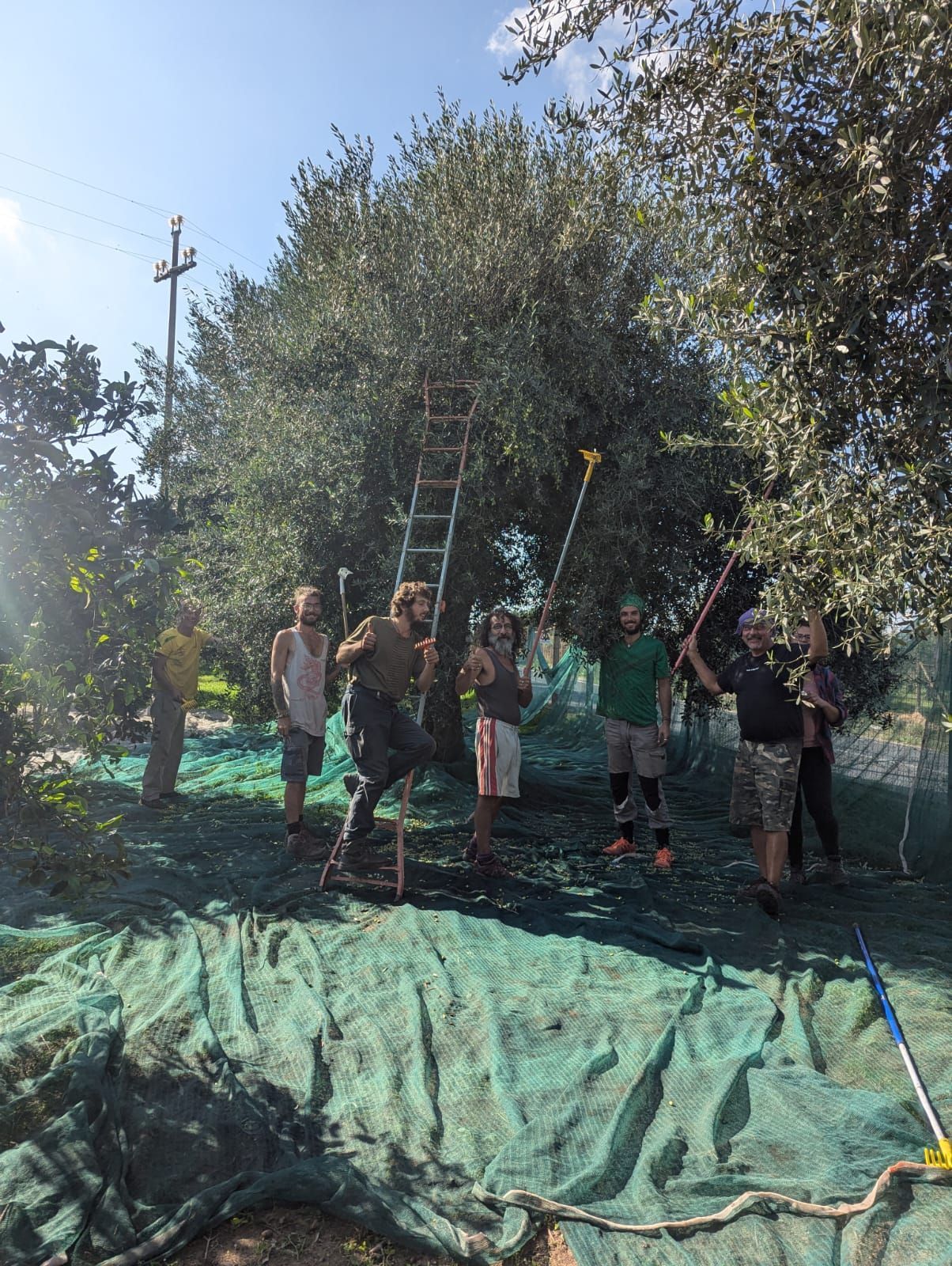 Ecovillaggio a Ragusa