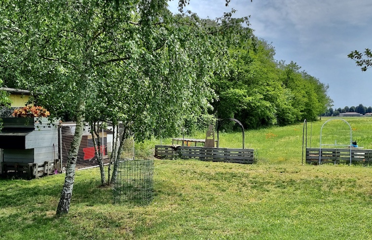 Spazio per tende in un giardino di Novara