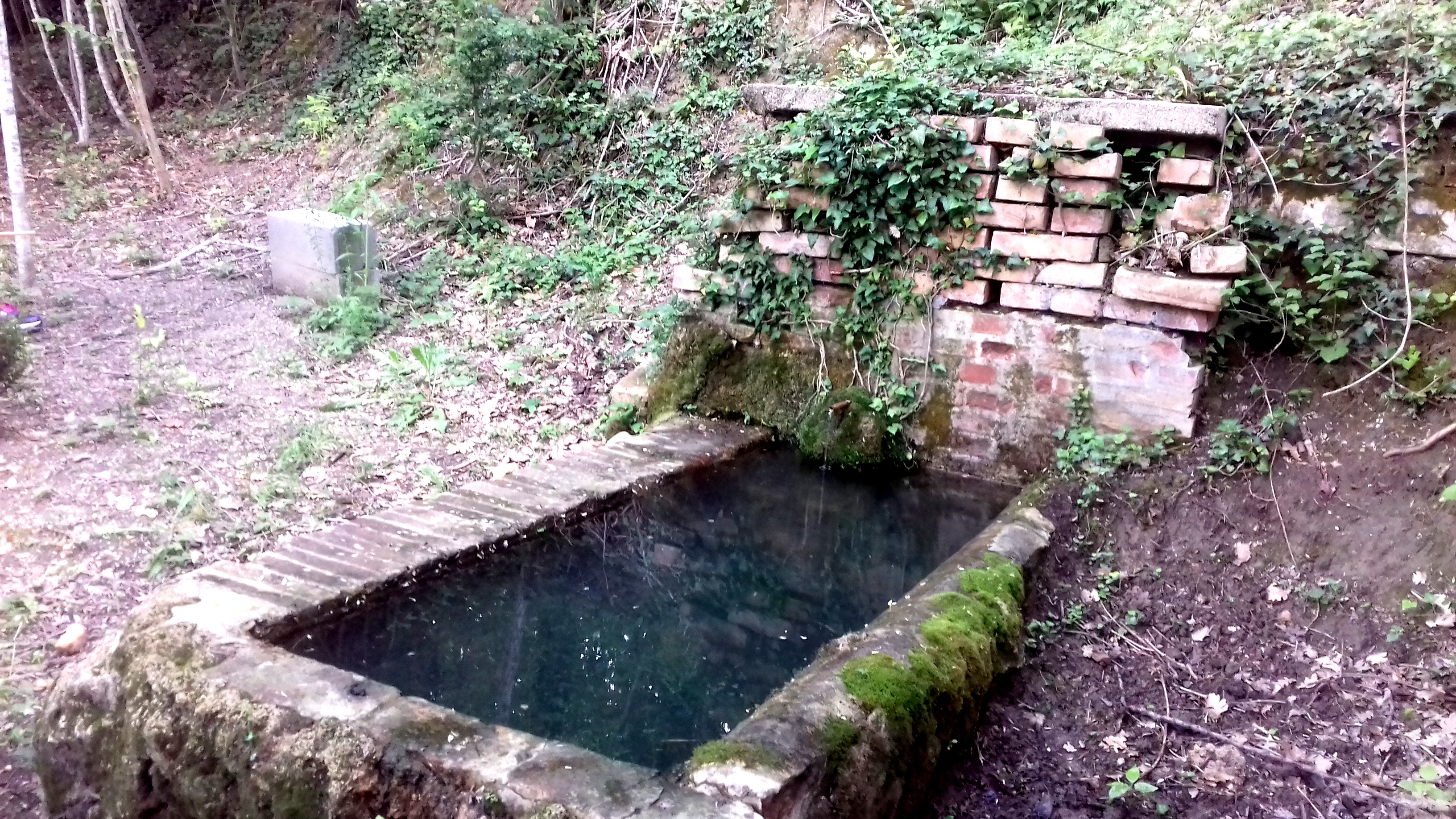 Campeggio sul Lago di Cingoli: Immersione nella Natura Marchigiana