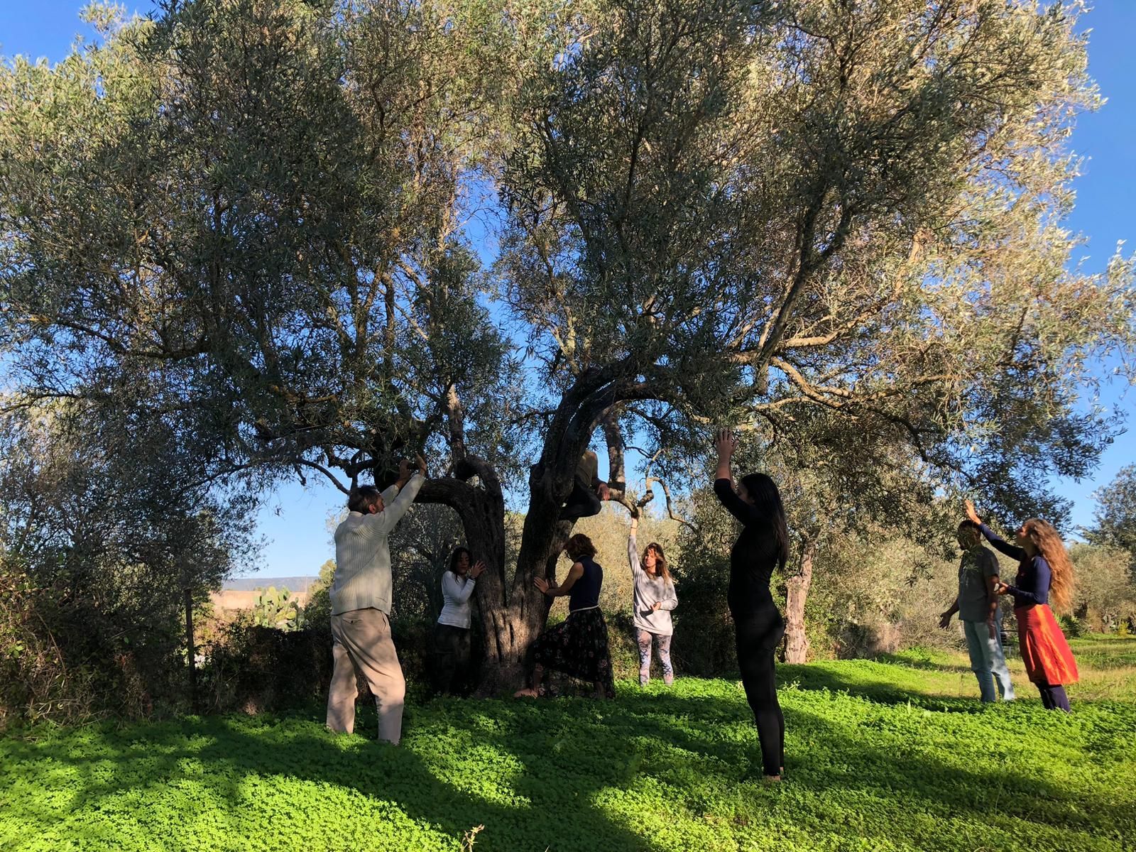 Mocambio: area camping tende e camper per rigenerarsi ad Alghero