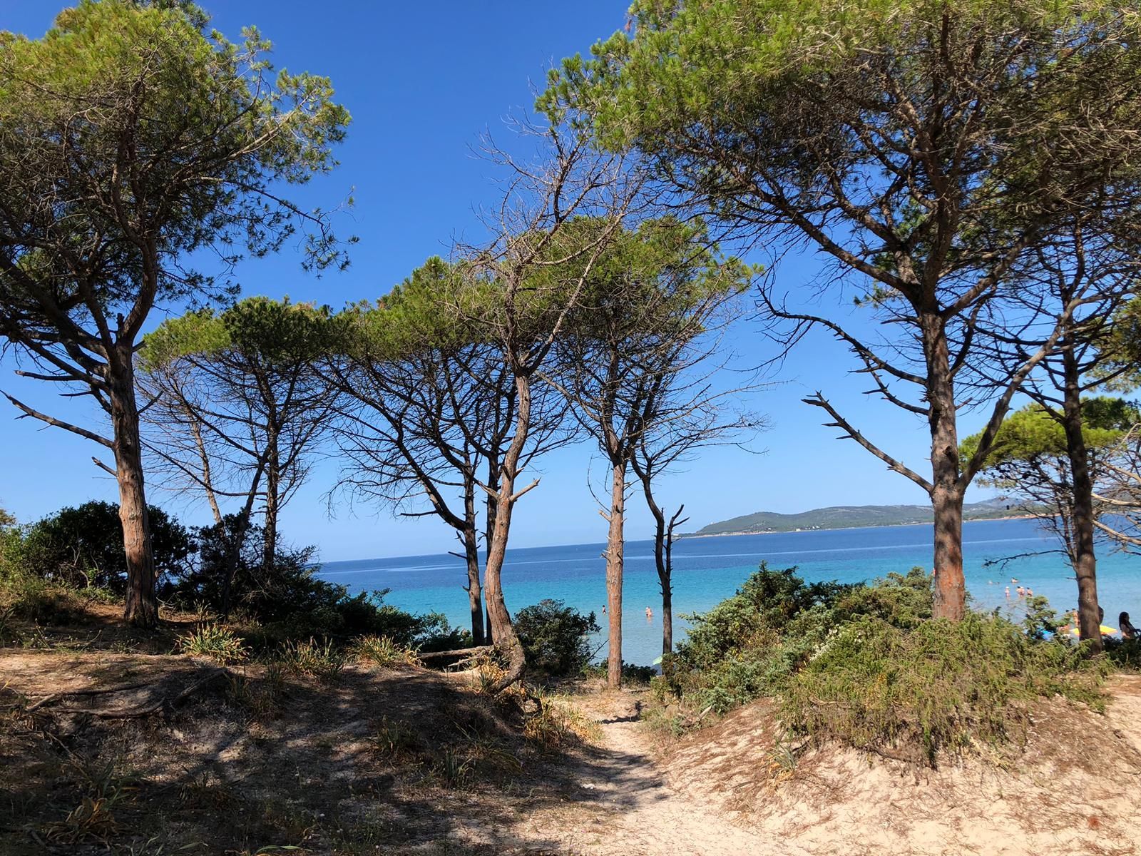 Mocambio: area camping tende e camper per rigenerarsi ad Alghero
