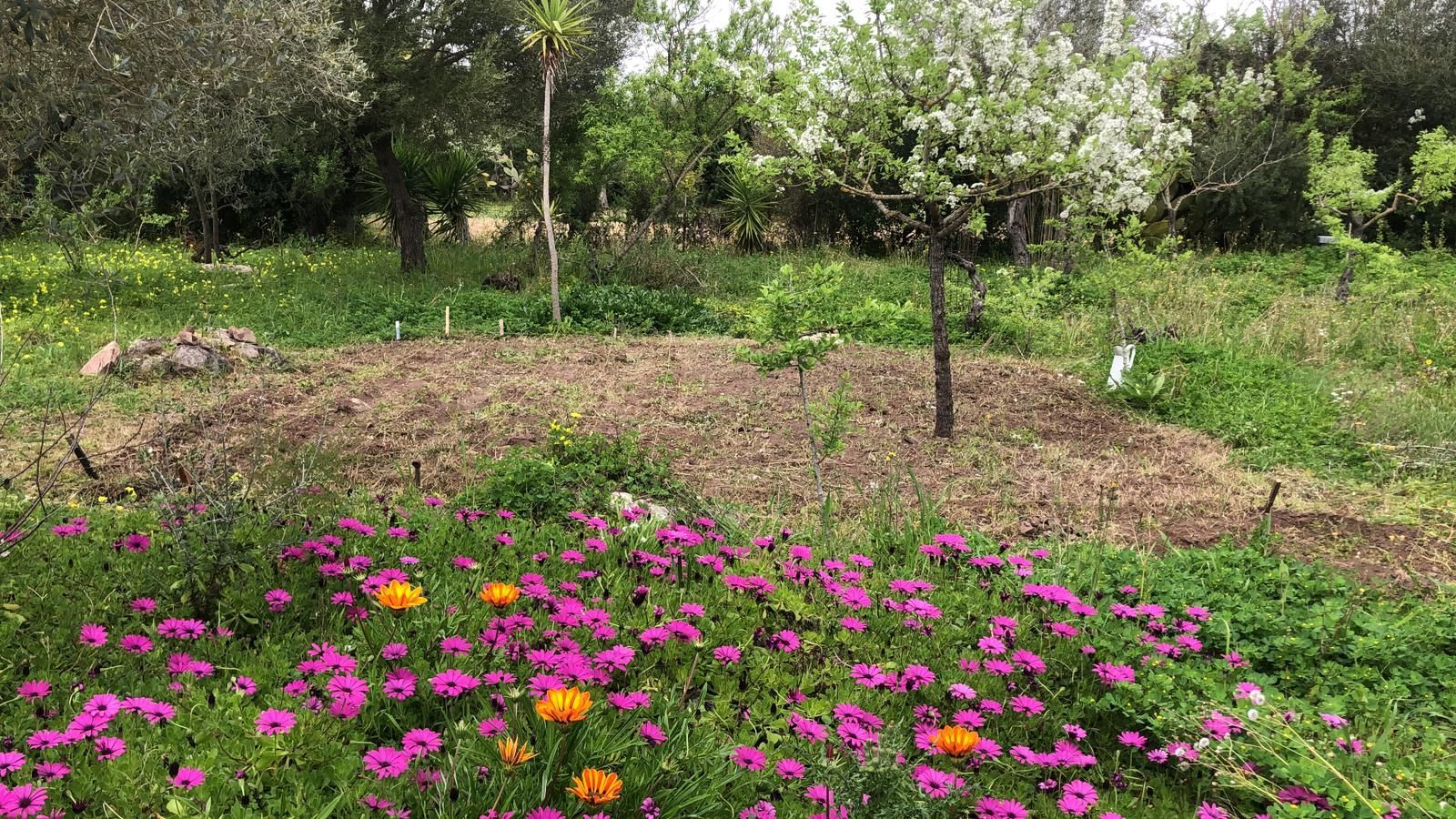 Mocambio: area camping tende e camper per rigenerarsi ad Alghero