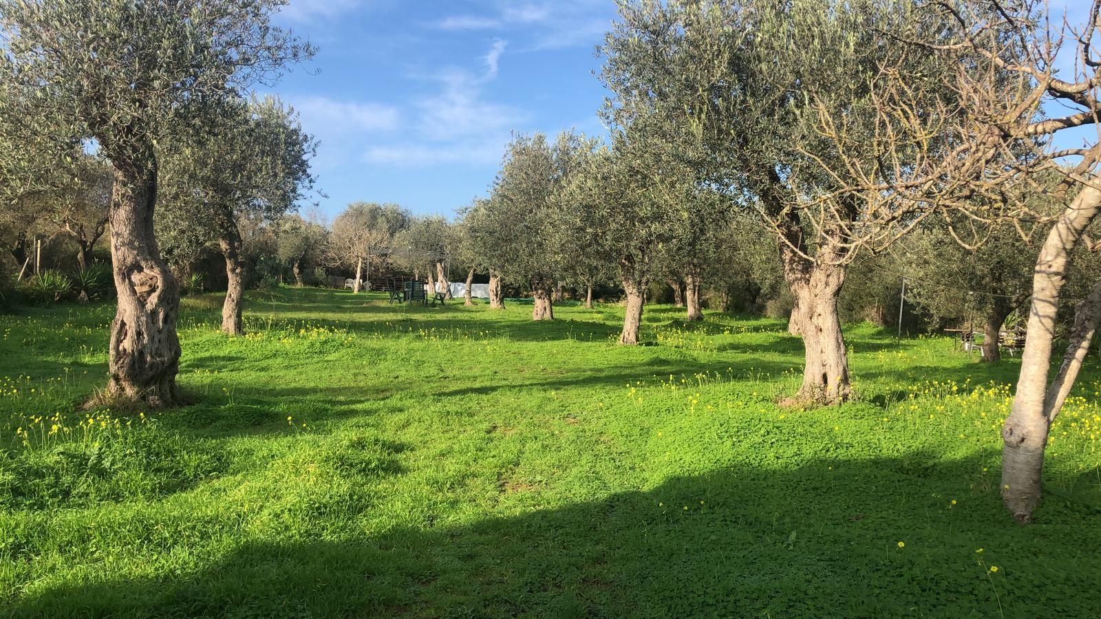Mocambio: area camping tende e camper per rigenerarsi ad Alghero