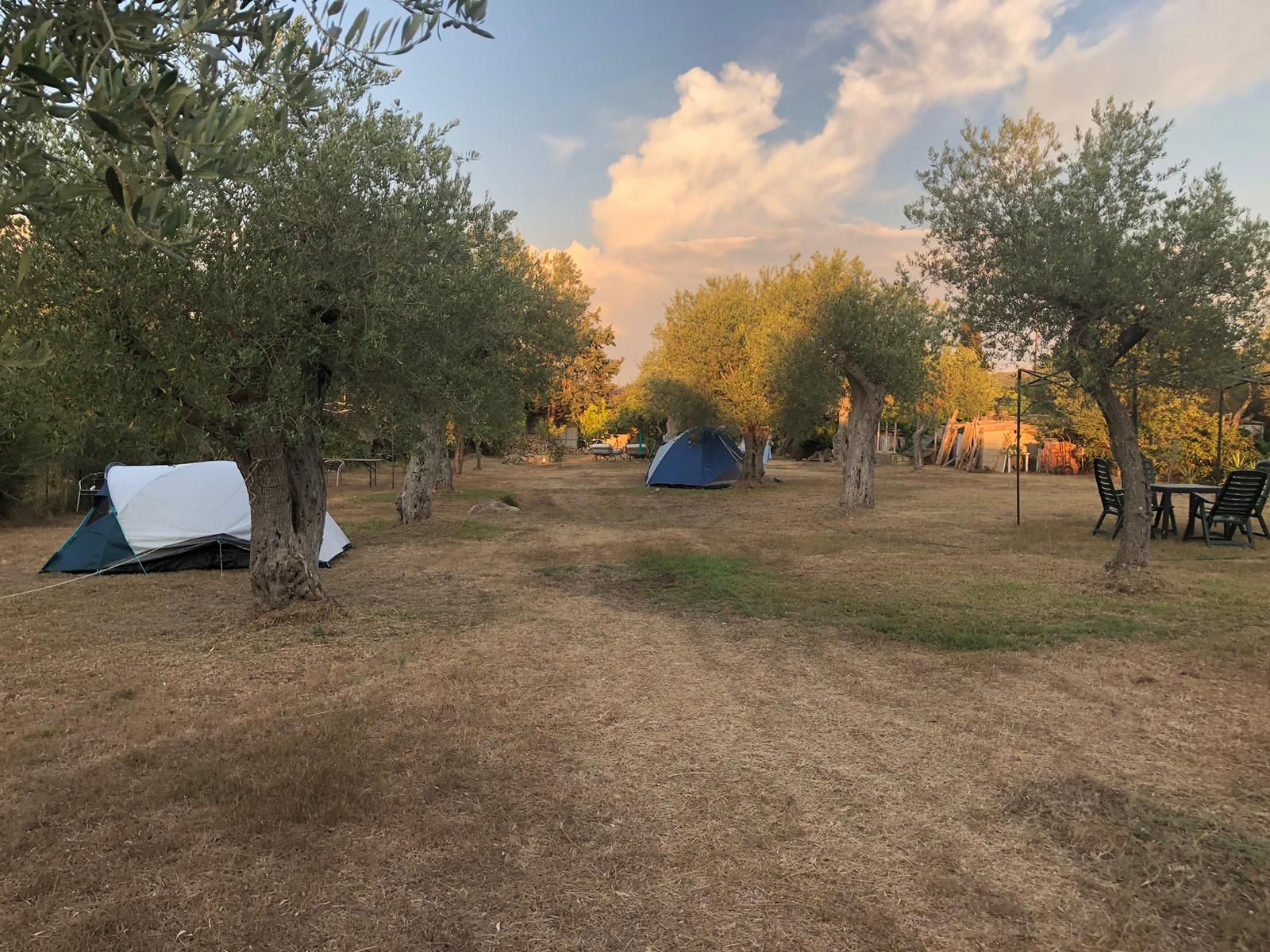 Mocambio: area camping tende e camper per rigenerarsi ad Alghero