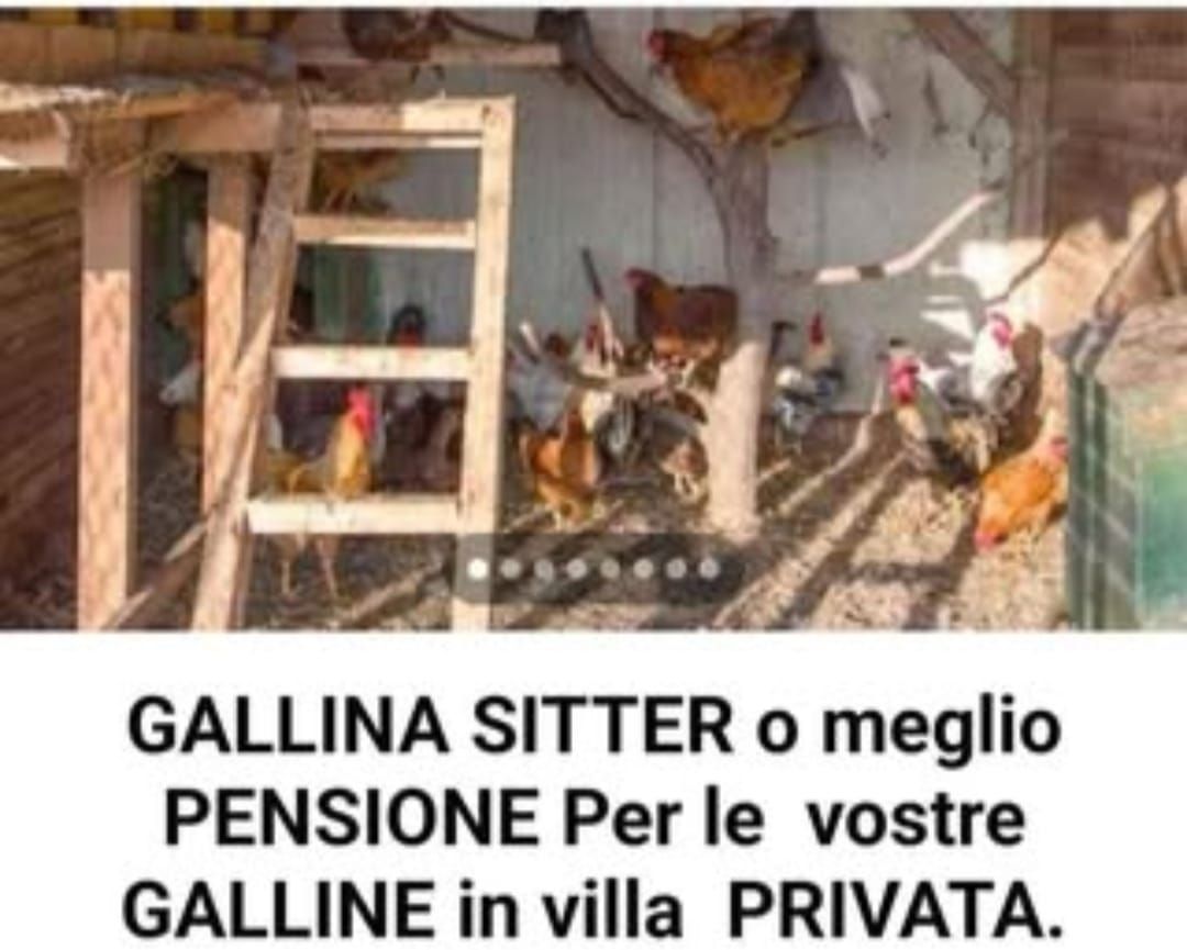 Camping Villa Paladini a Lucca