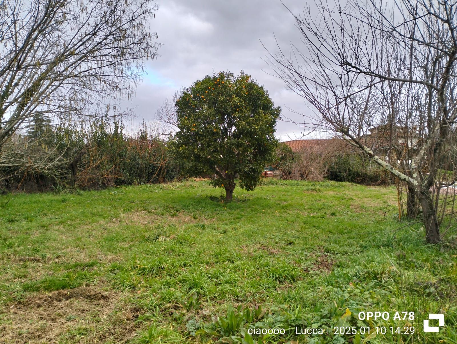 Camping Villa Paladini a Lucca