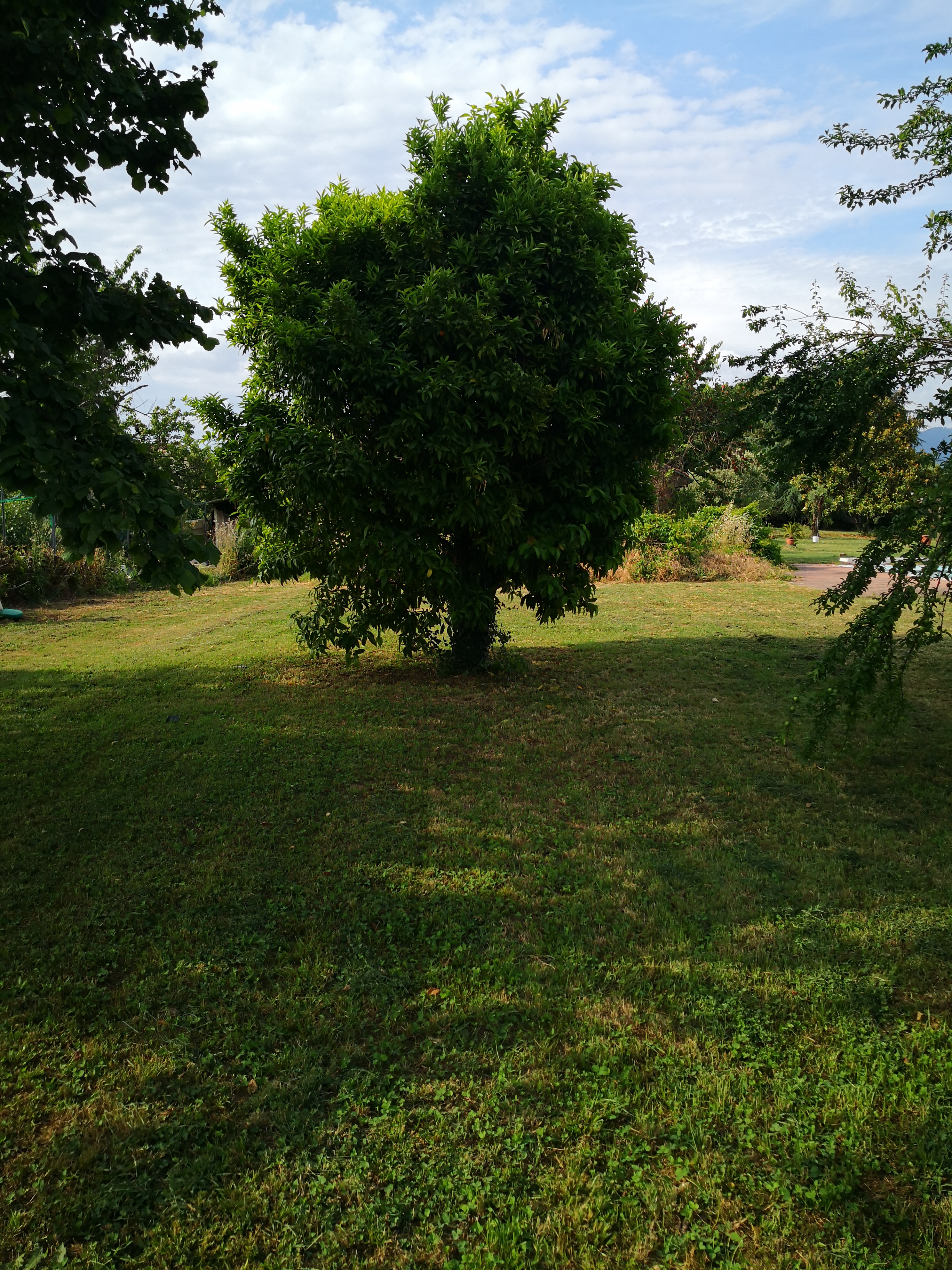 Camping Villa Paladini a Lucca