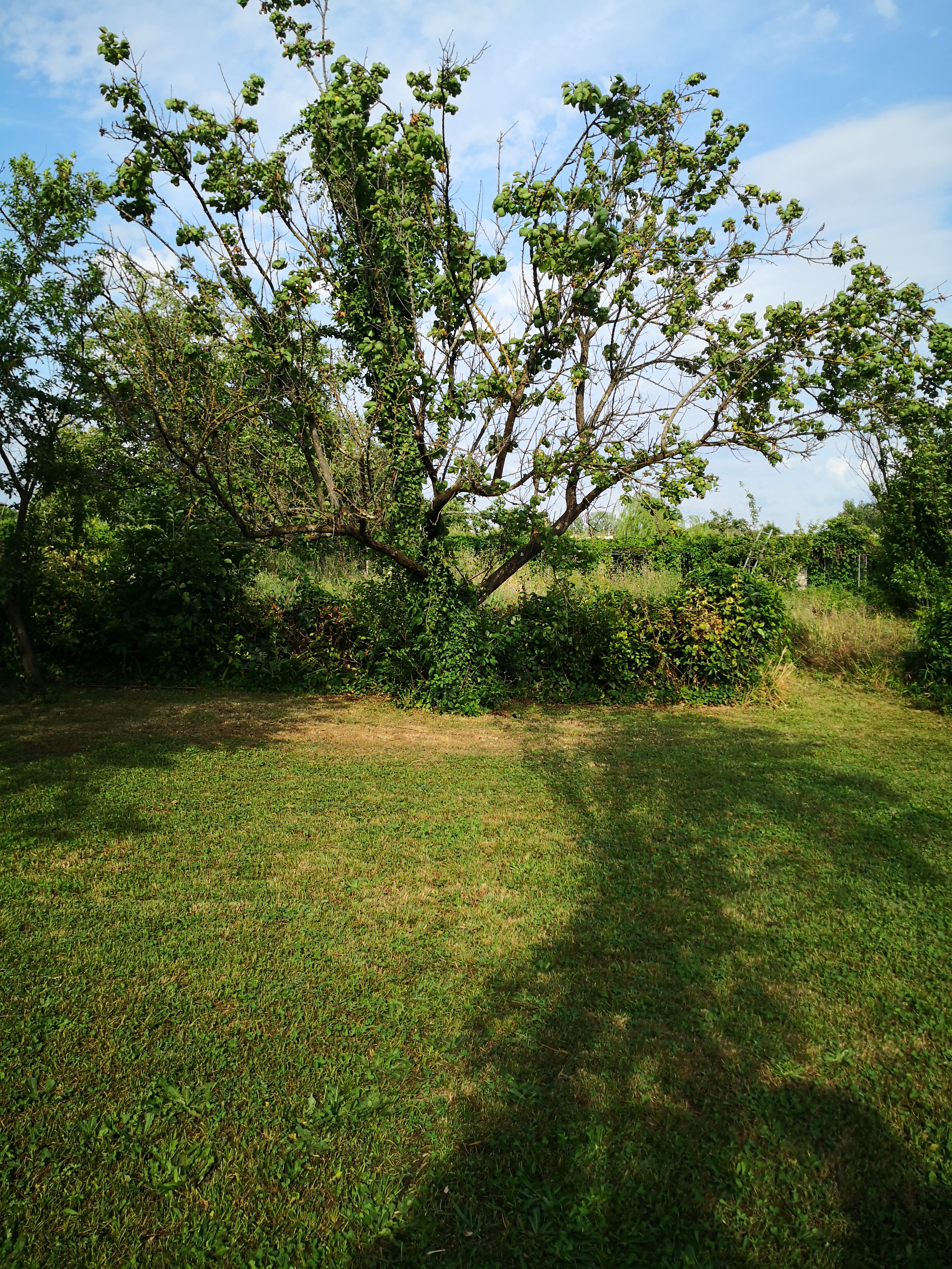 Camping Villa Paladini a Lucca