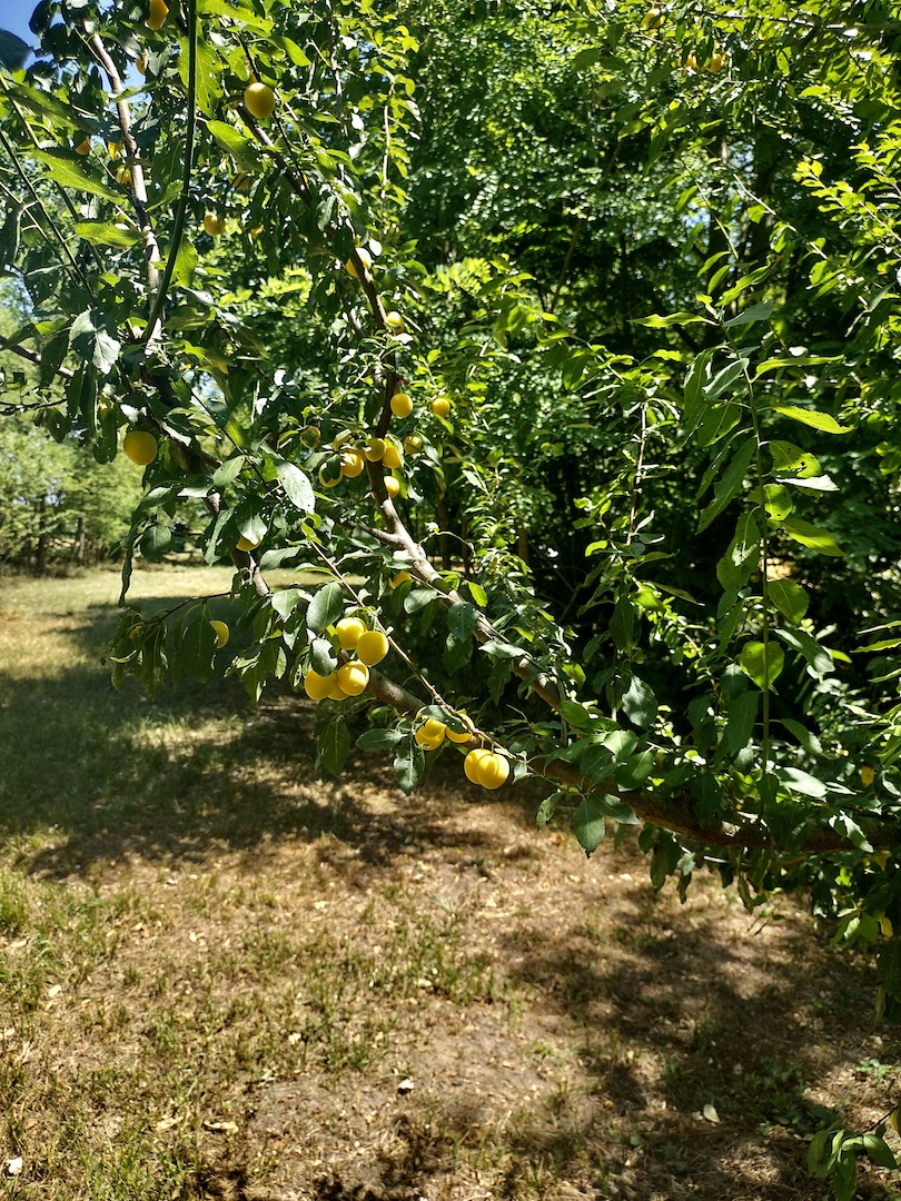 Lejos del bullicio de la ciudad, viva sus vacaciones en contacto con la naturaleza