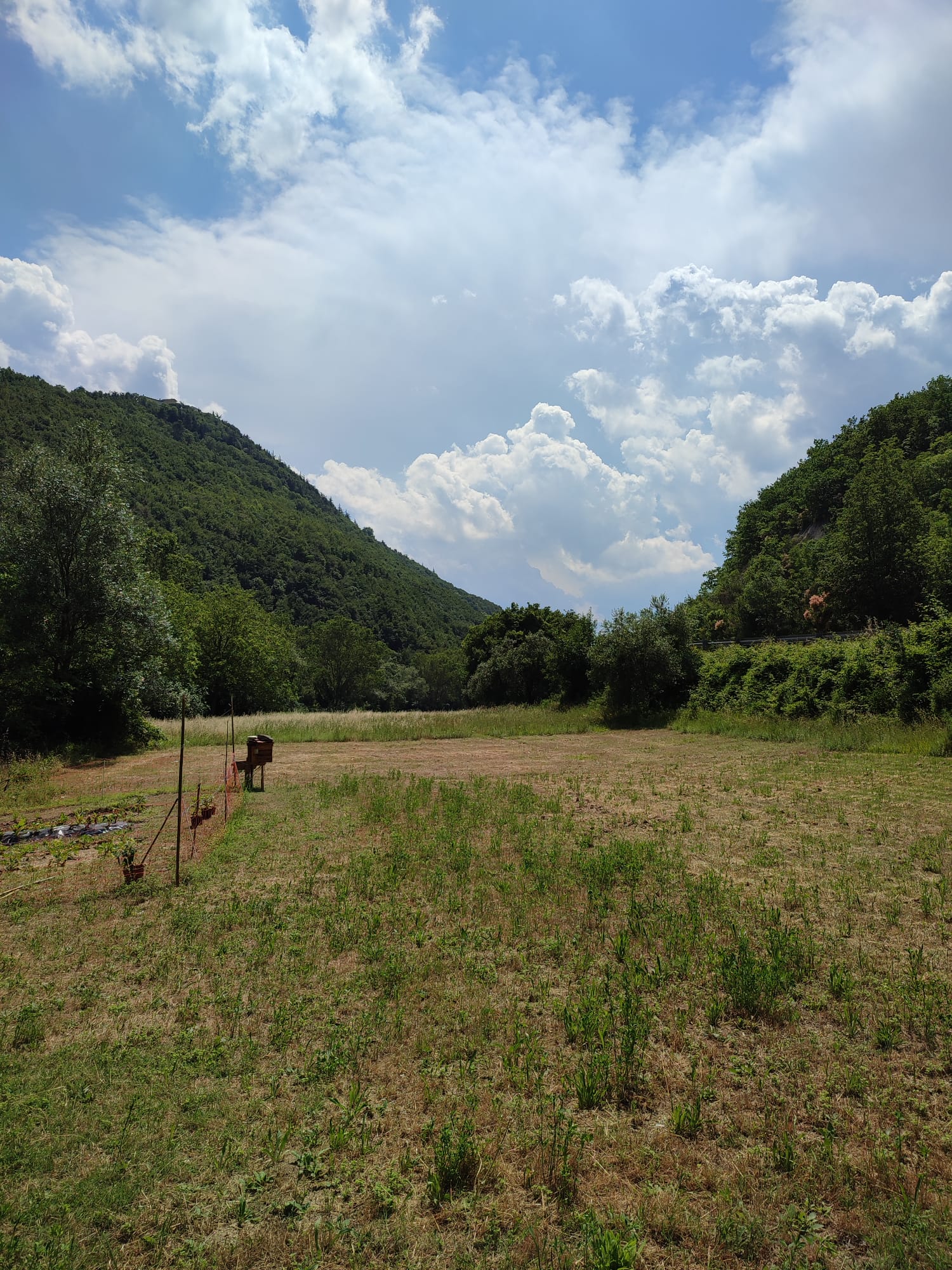Campingplatz Mulino Tomassoni Arcevia