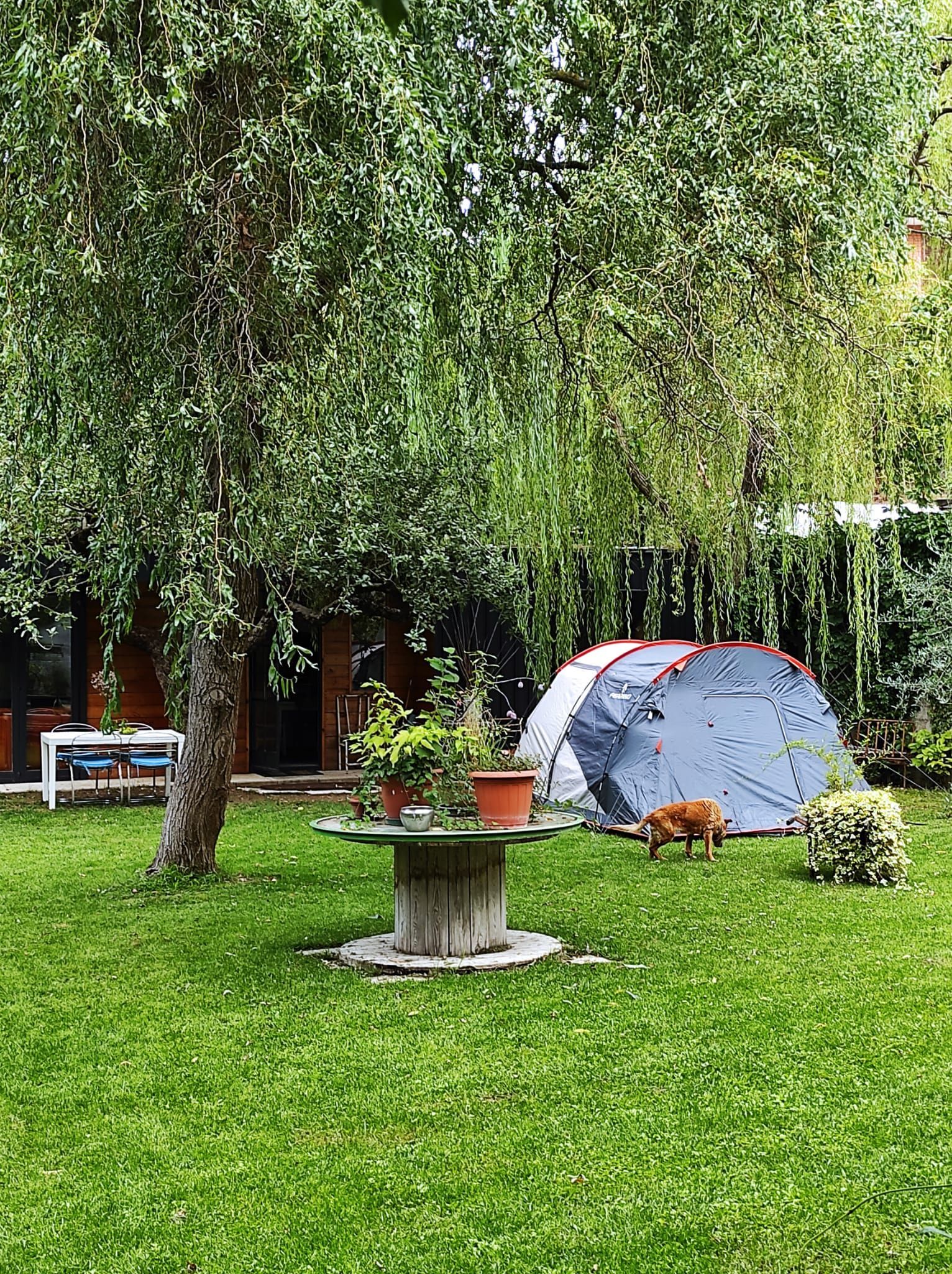 Giardino per tende nell'Aquila