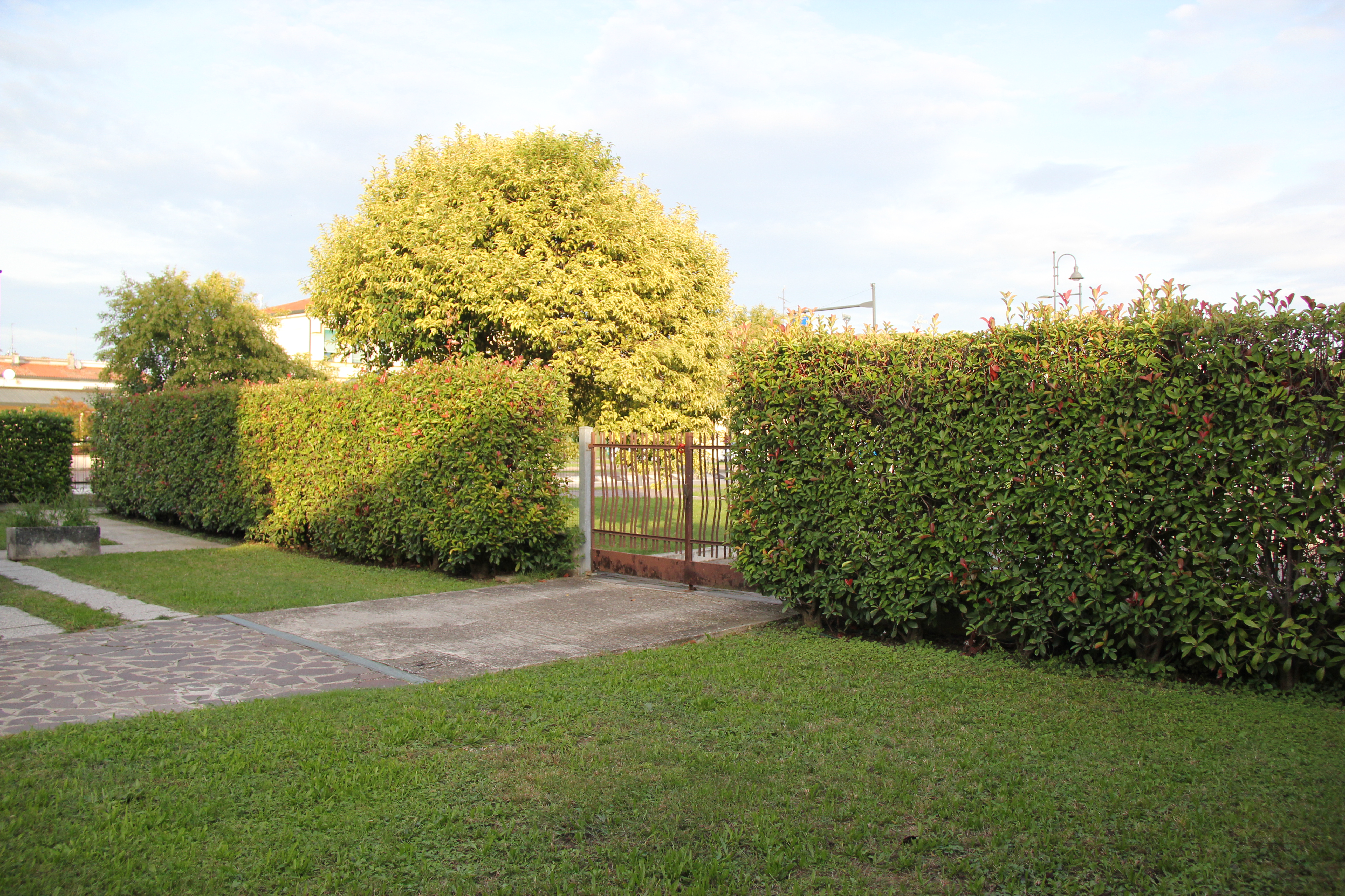 Giardino privato al centro di Saccolongo, Padova