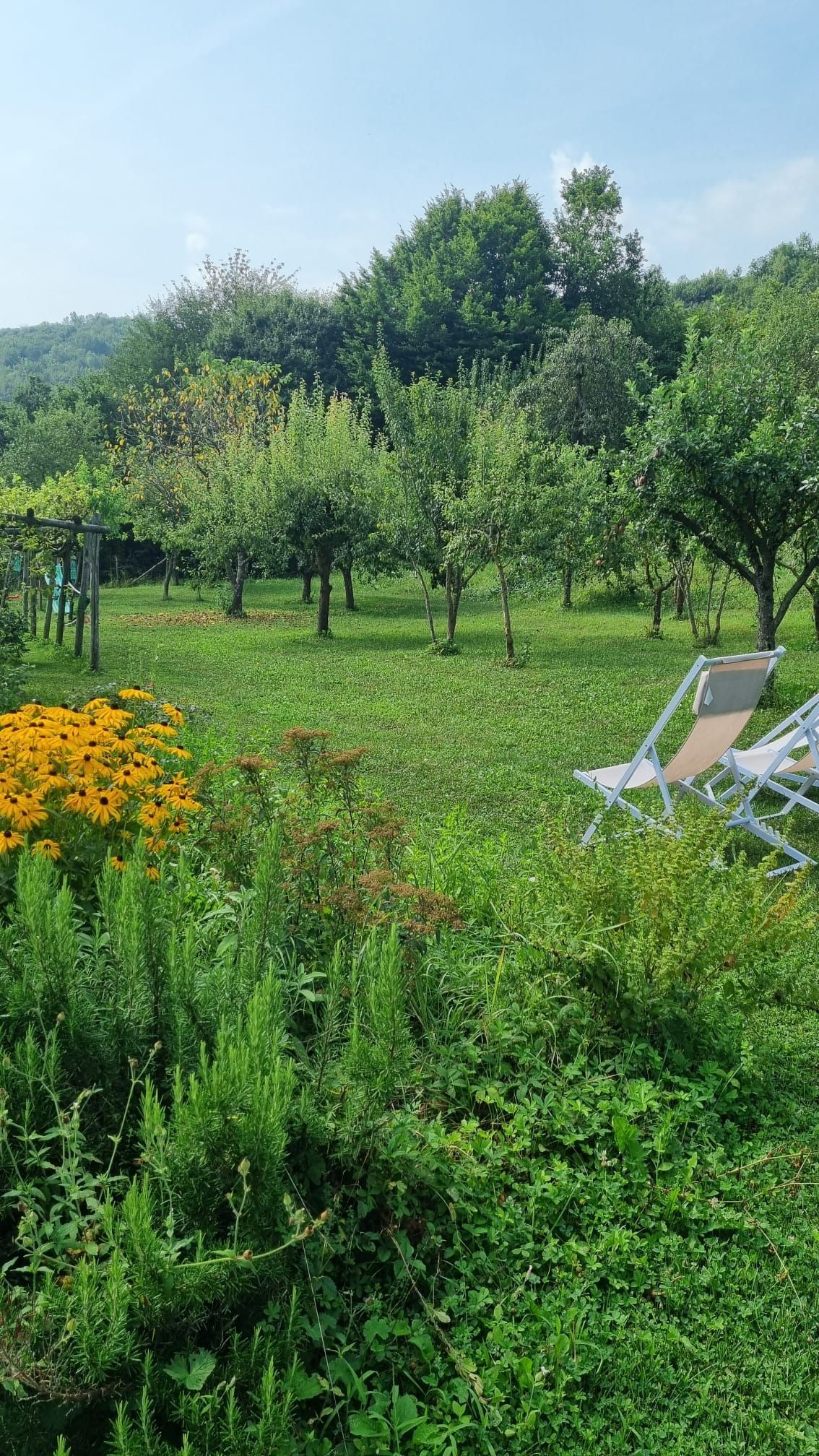 Piazzola tenda da 2 presso Agricampeggio La Botalla