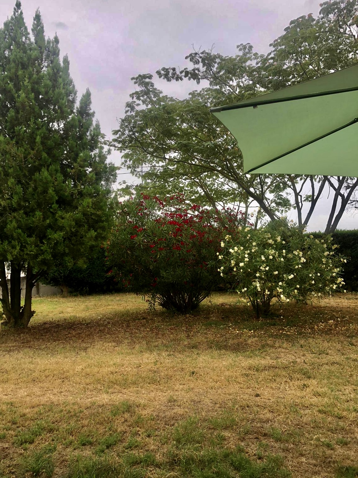 Giardino in provincia di Rovigo