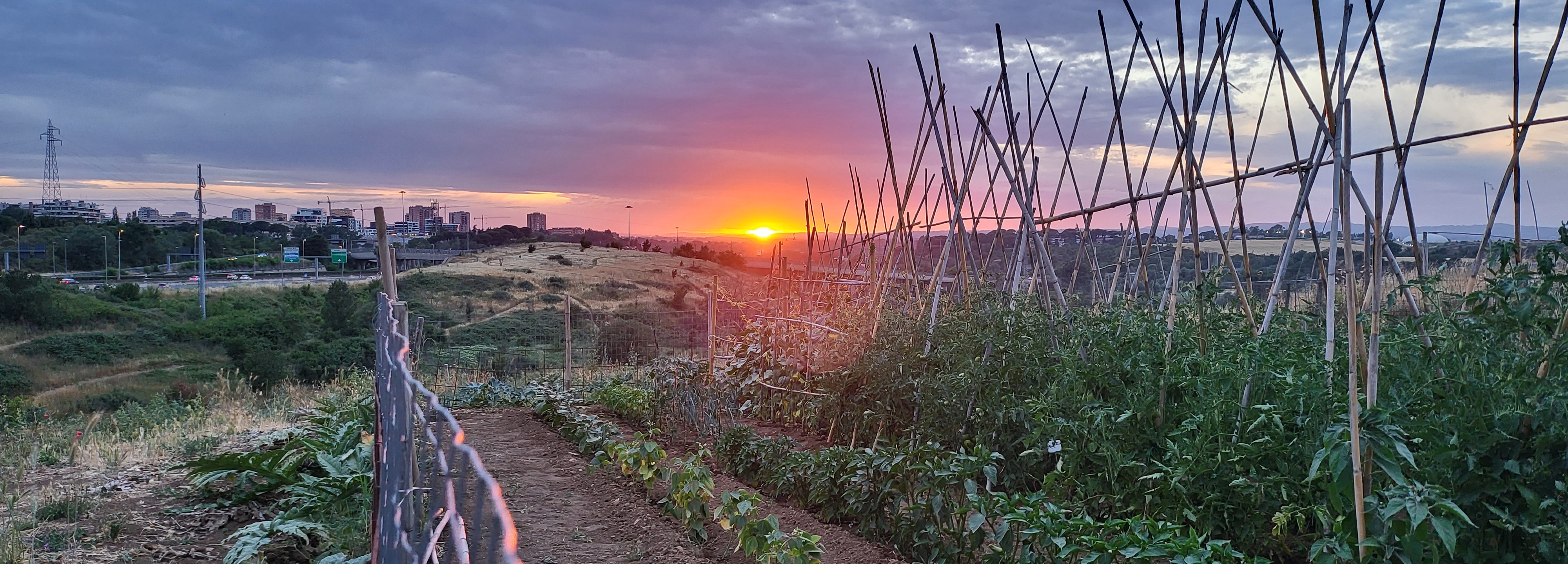 Camping in azienda agricola a Roma