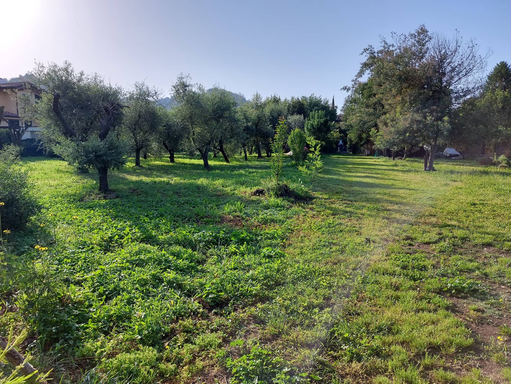 Campeggio in uno spazio verde a Lucca