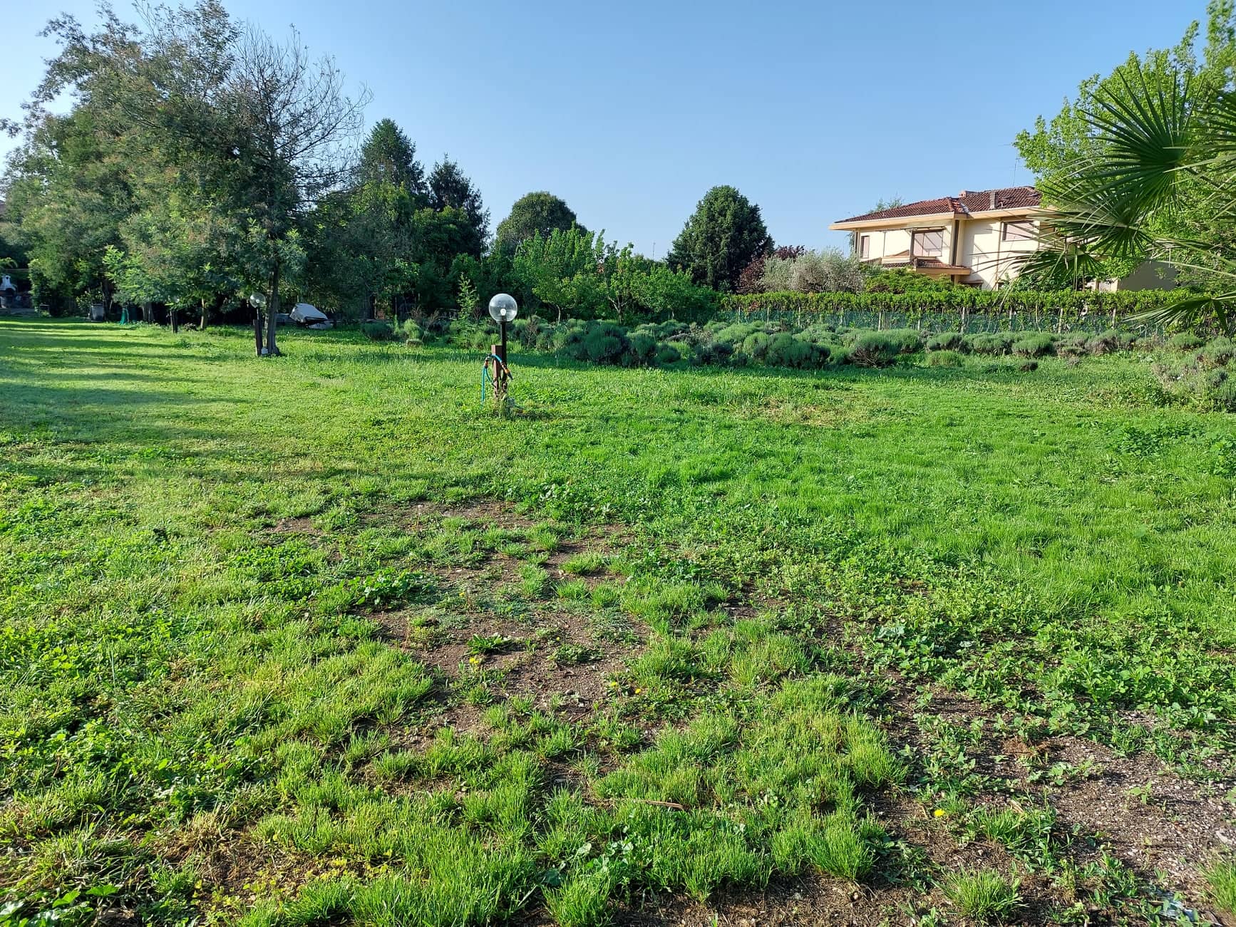 Campeggio in uno spazio verde a Lucca