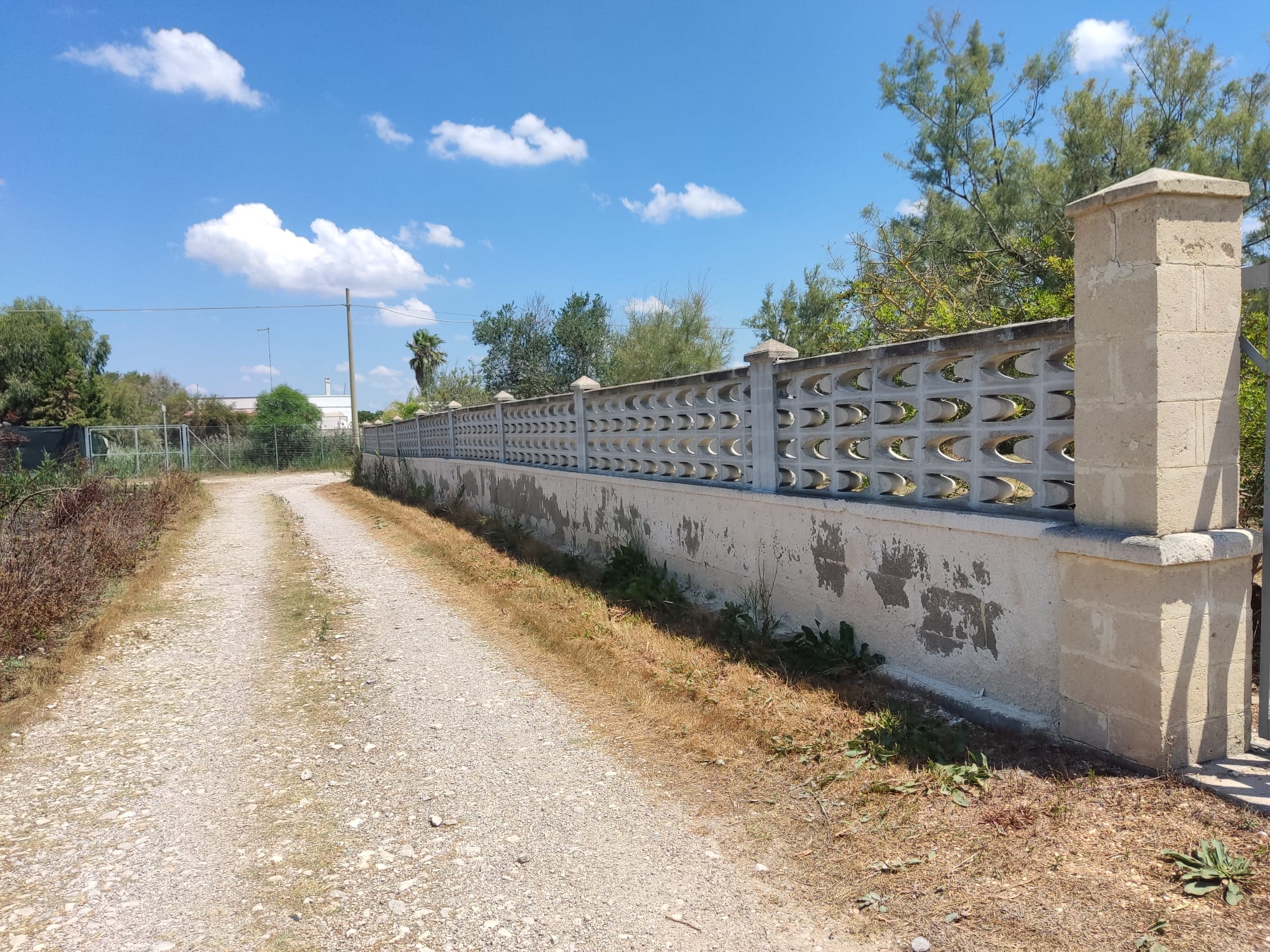 Campeggio nella bellissima zona di Mare di Porto Cesareo