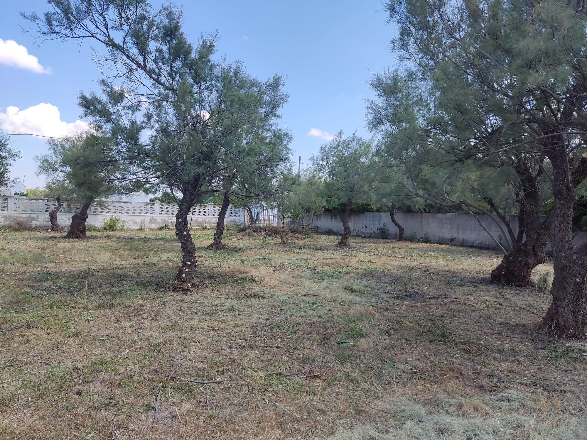 Campeggio nella bellissima zona di Mare di Porto Cesareo