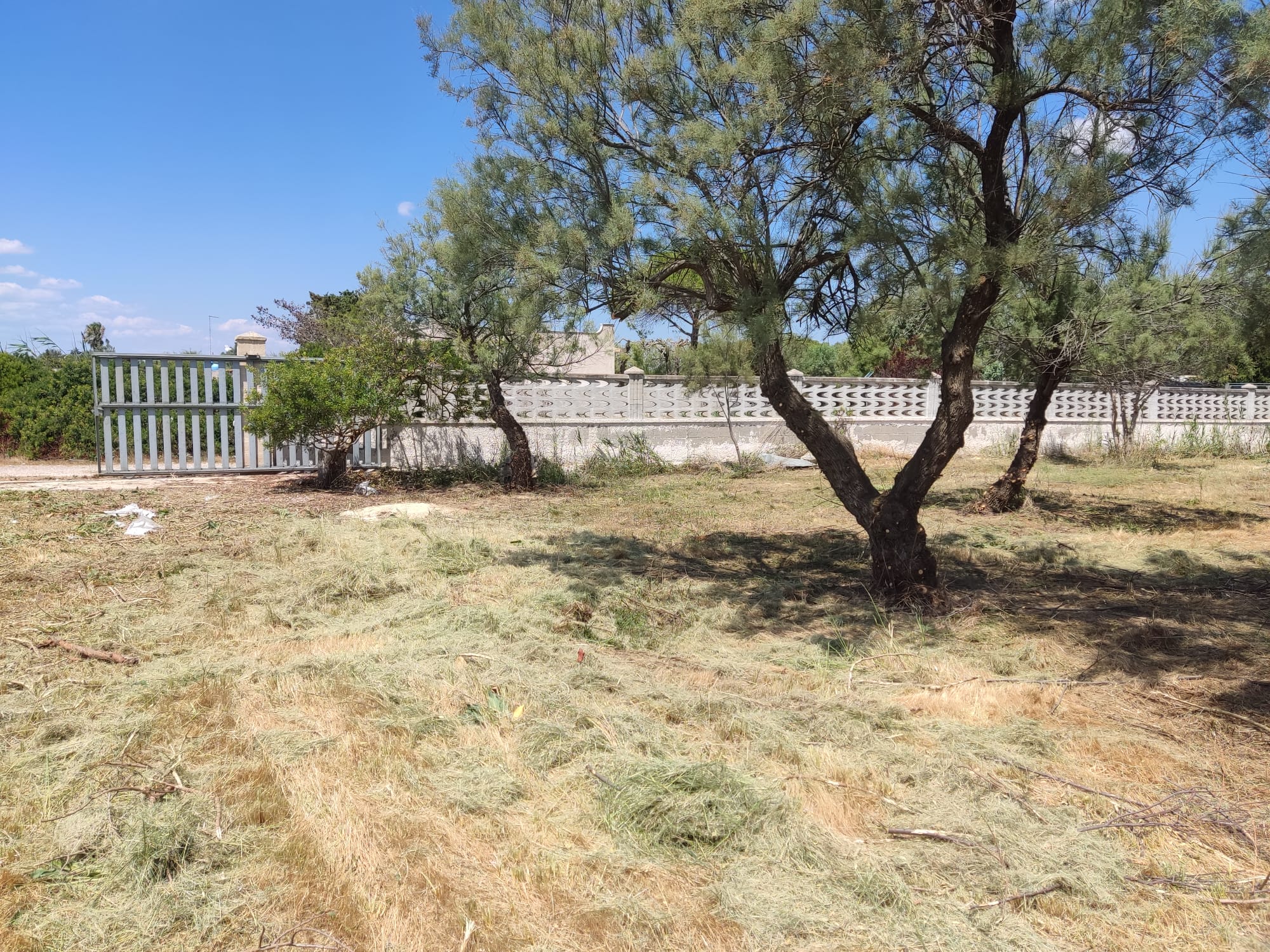 Campeggio nella bellissima zona di Mare di Porto Cesareo