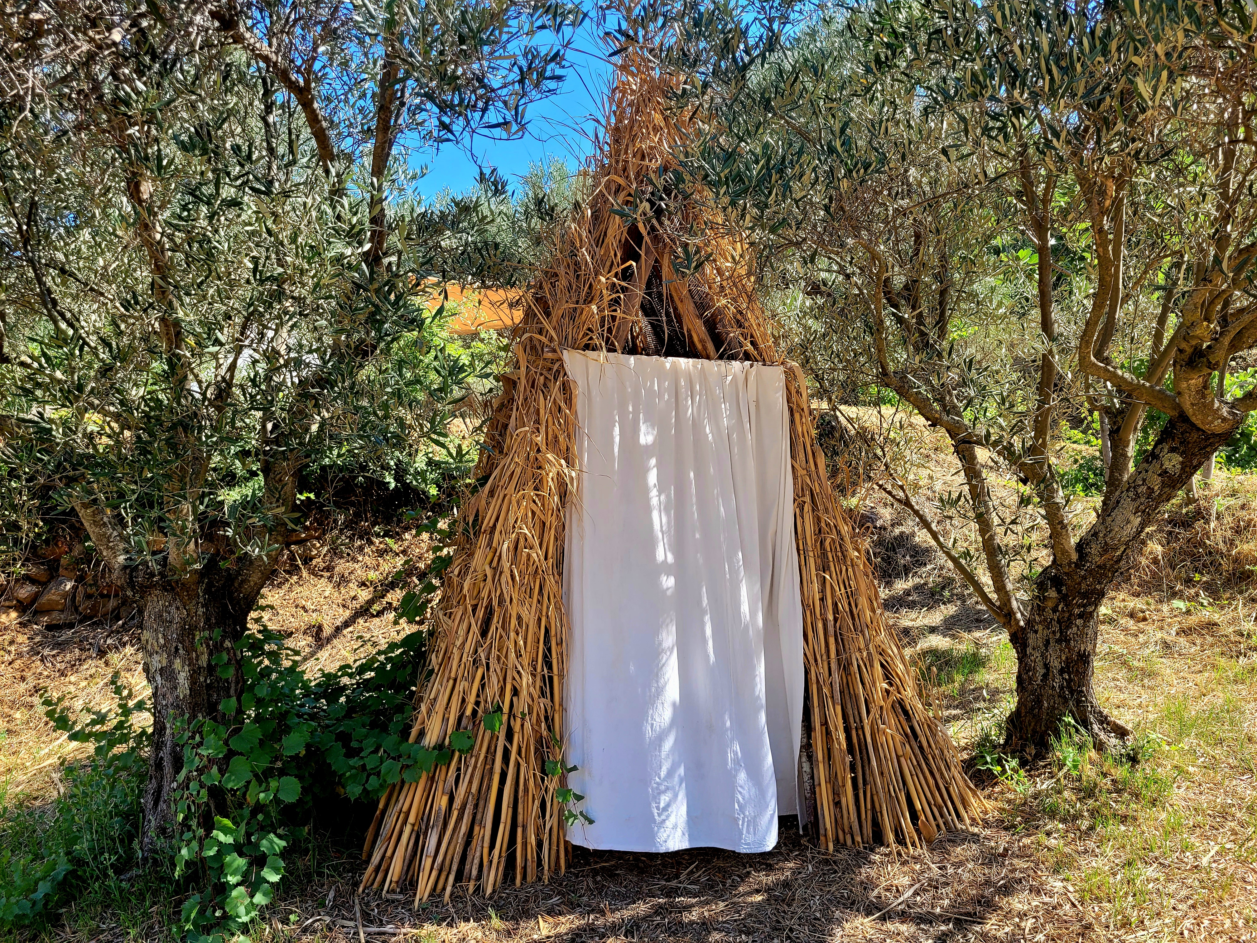BELL TENT surrounded by greenery 10 km. from the Gulf of Squillace (Soverato. Cz)
