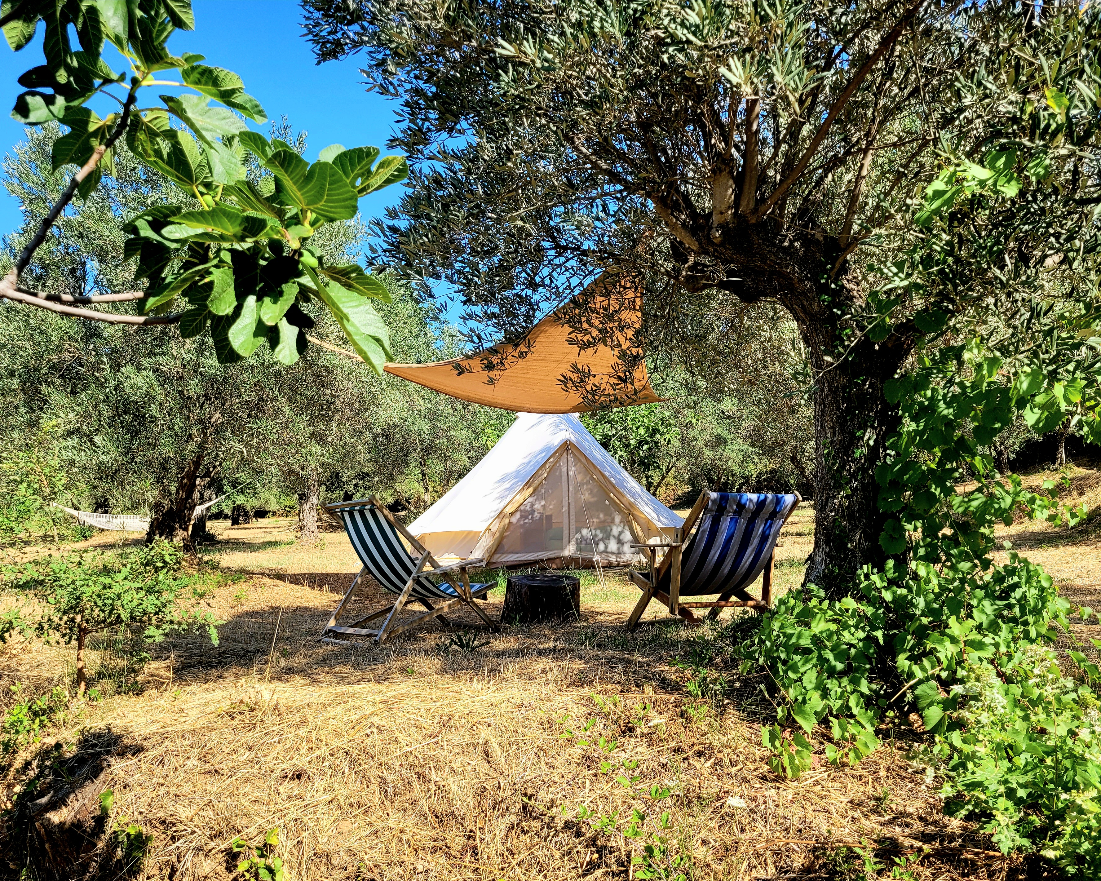 BELL TENT surrounded by greenery 10 km. from the Gulf of Squillace (Soverato. Cz)