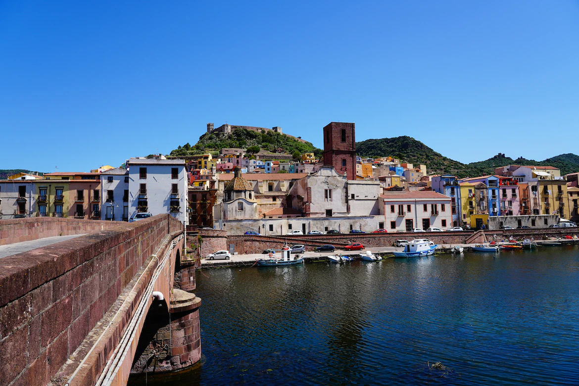 Uliveto a Oristano