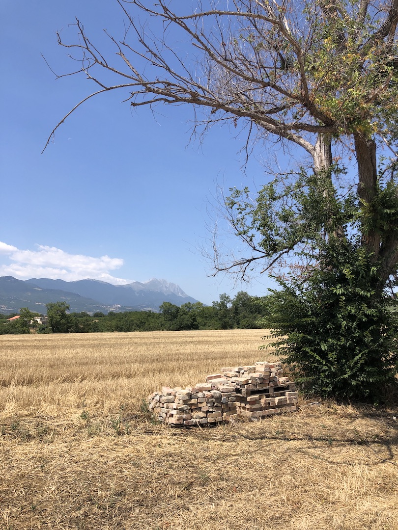 AgriCamping a Pescara tra uliveti e vigneti