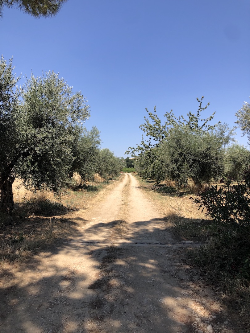 AgriCamping a Pescara tra uliveti e vigneti