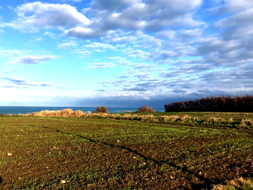 Terreno nel bosco fronte mare a Chieti