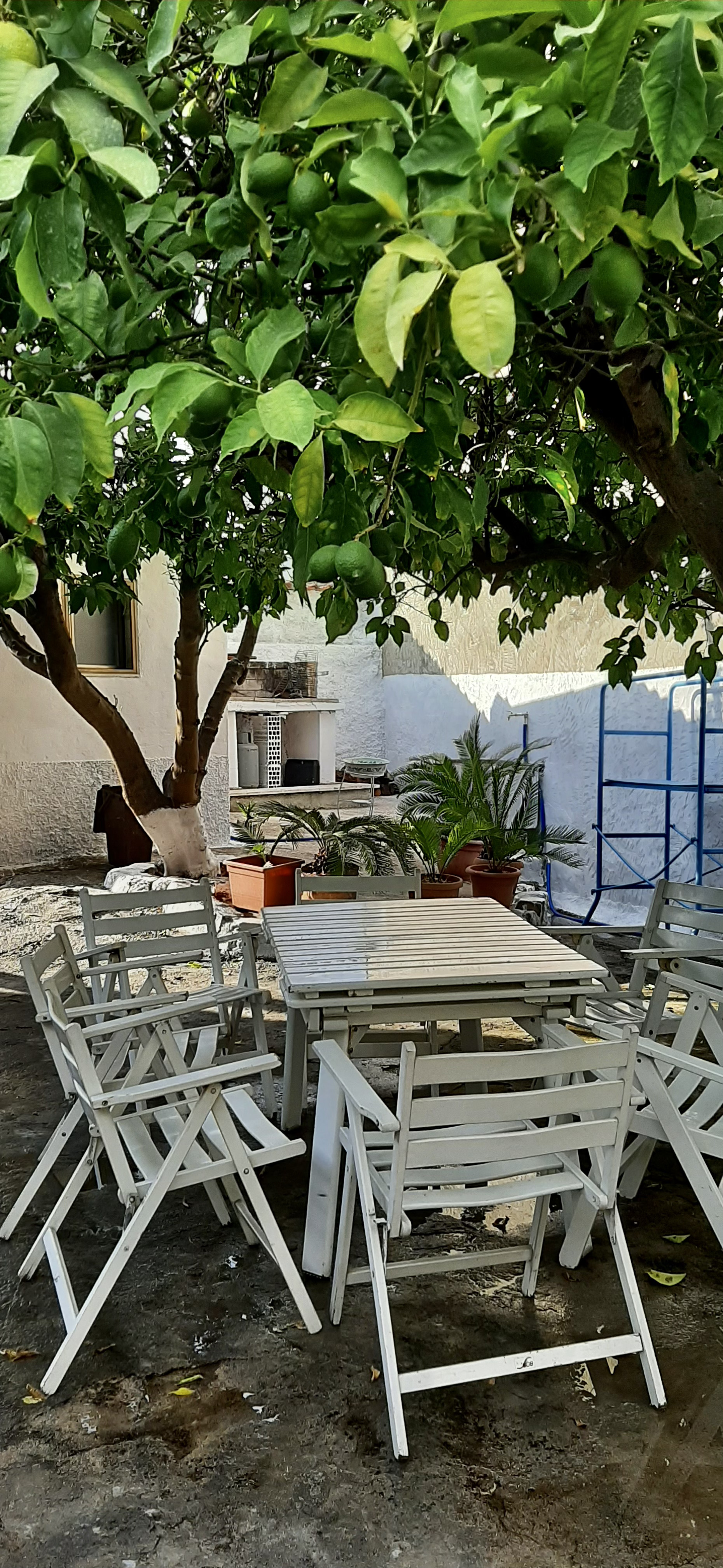In tenda all’ombra degli alberi in un giardino a Pimentel