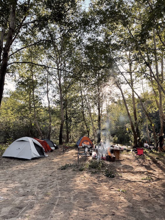 Campagna immersa nel verde ad Avellino