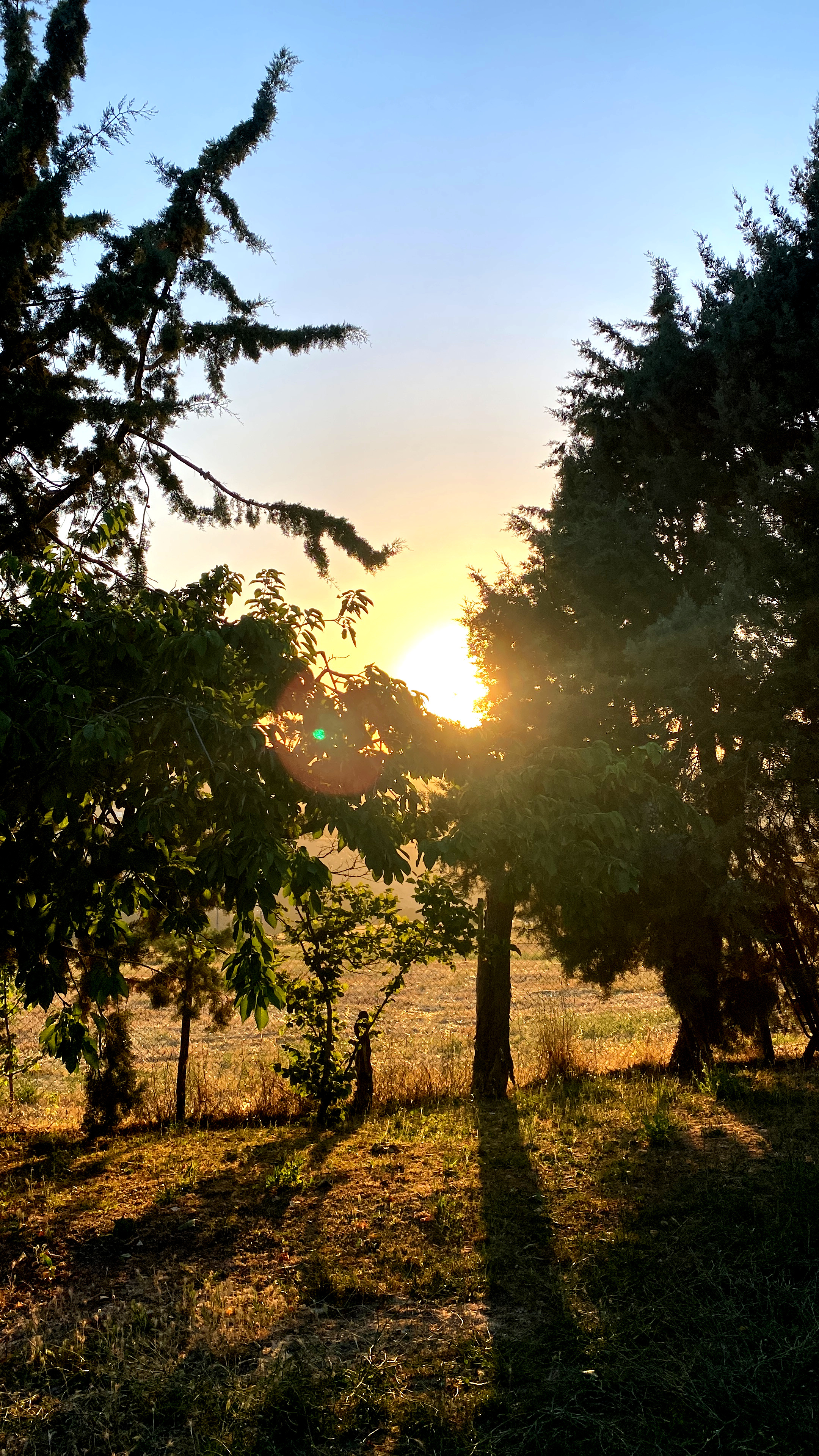 Campagna immersa nel verde ad Avellino
