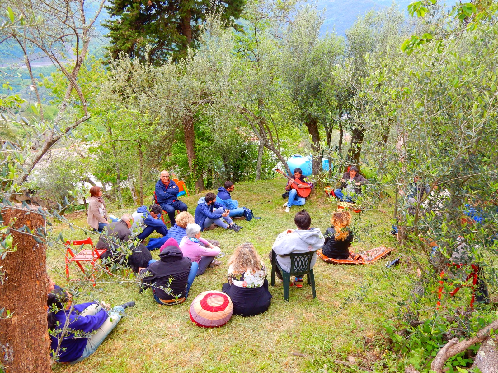 Luogo di relax in mezzo agli ulivi di Recco