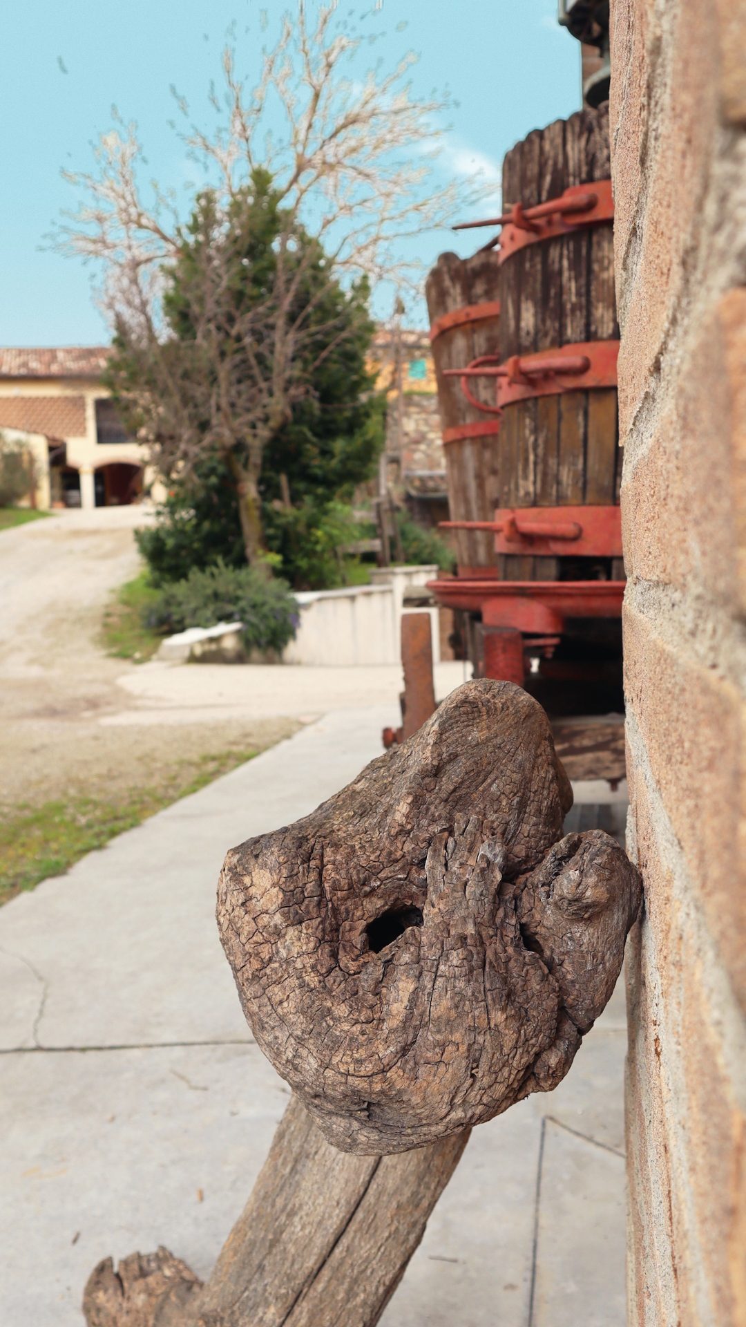 Camping tra le vigne sulle colline moreniche del Garda