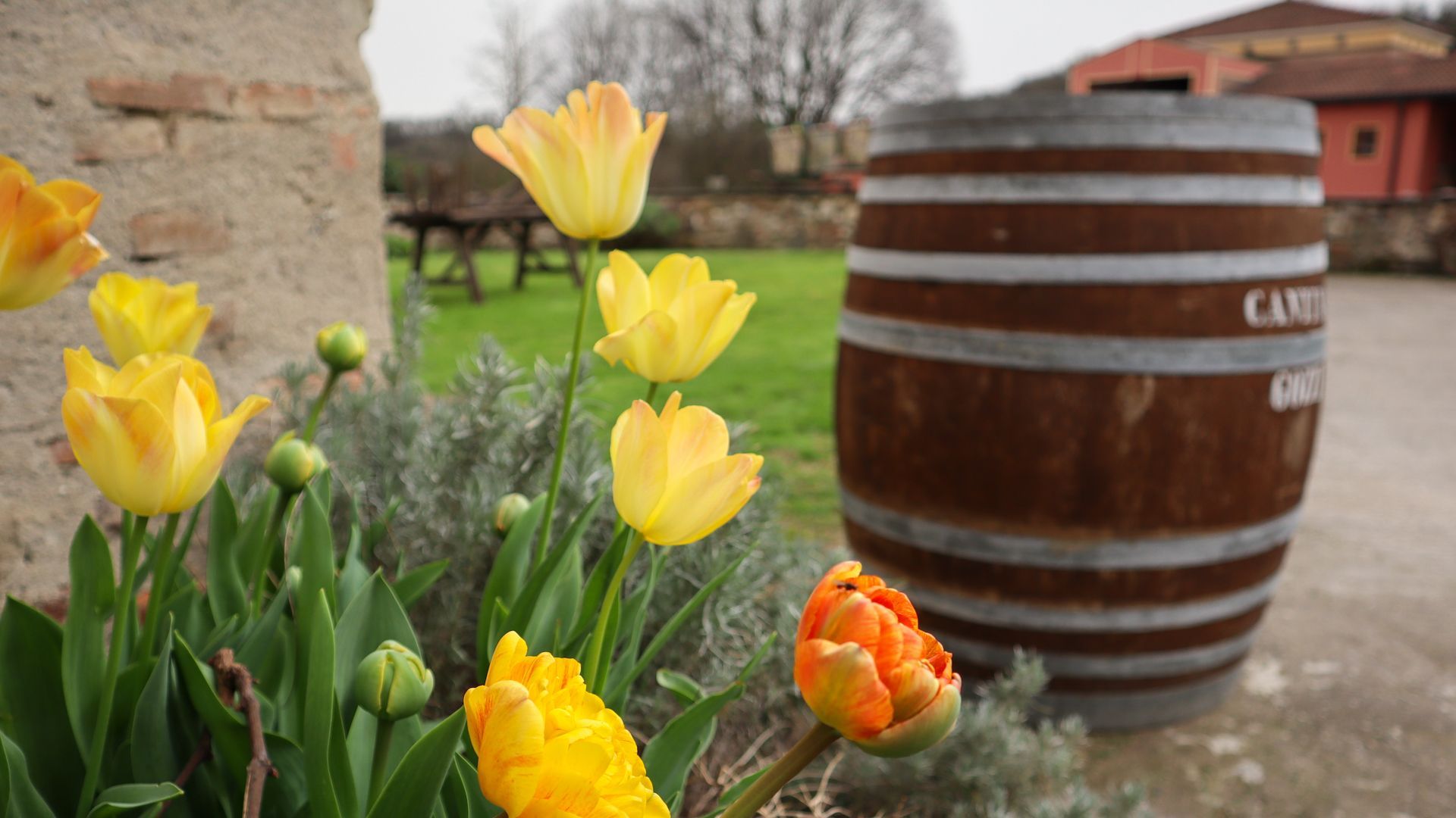 Camping tra le vigne sulle colline moreniche del Garda