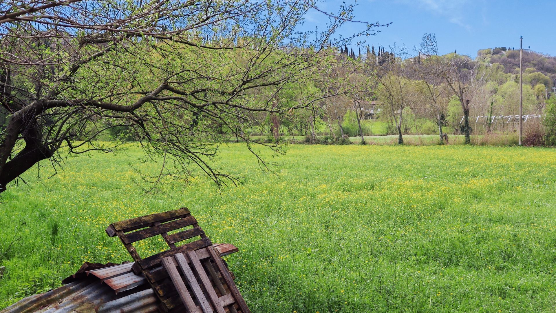 Camping tra le vigne sulle colline moreniche del Garda